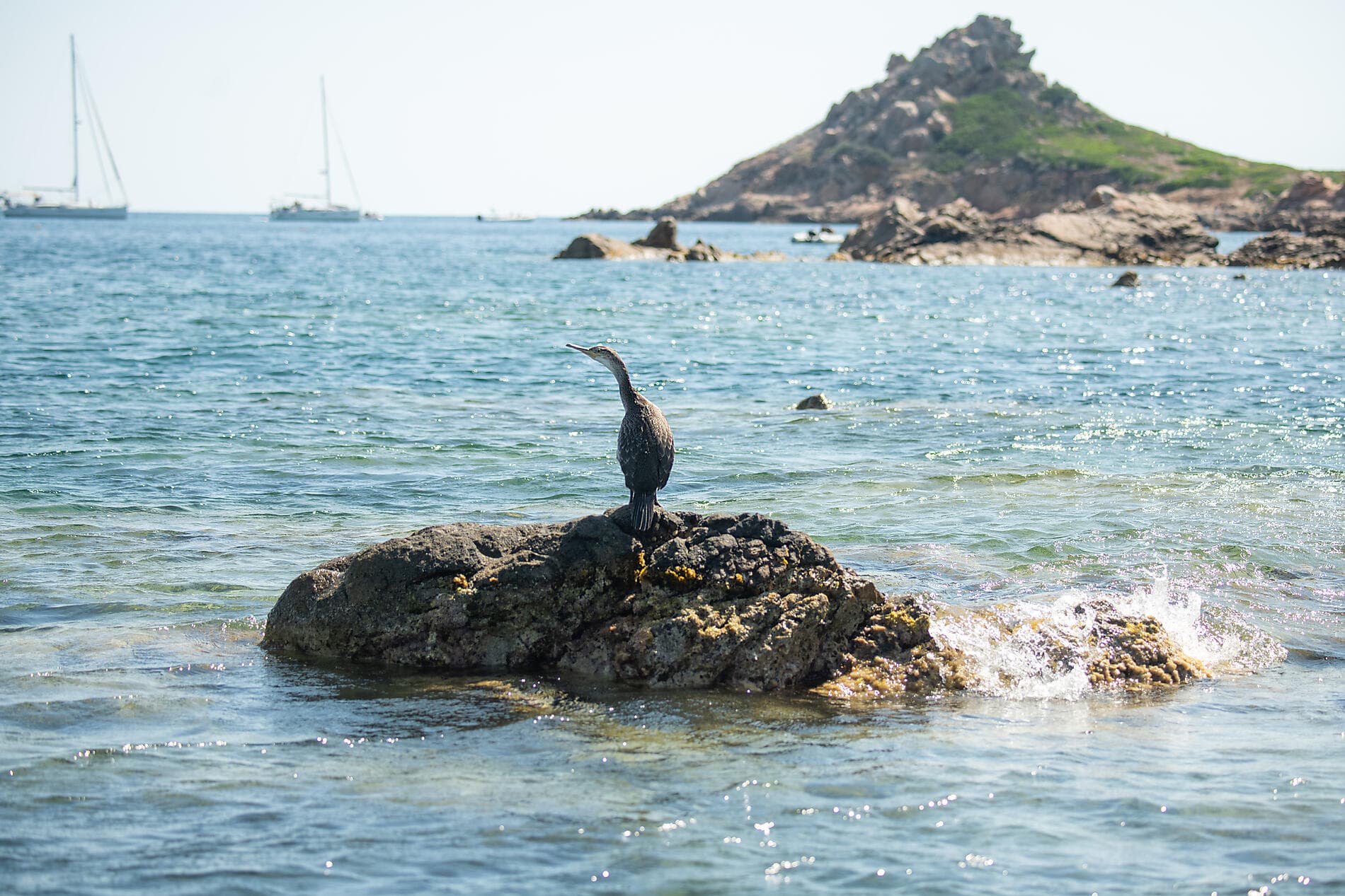 Corsican shores, under Sail Aboard Le Ponant ©StudioPONANT_Laura Gelfged