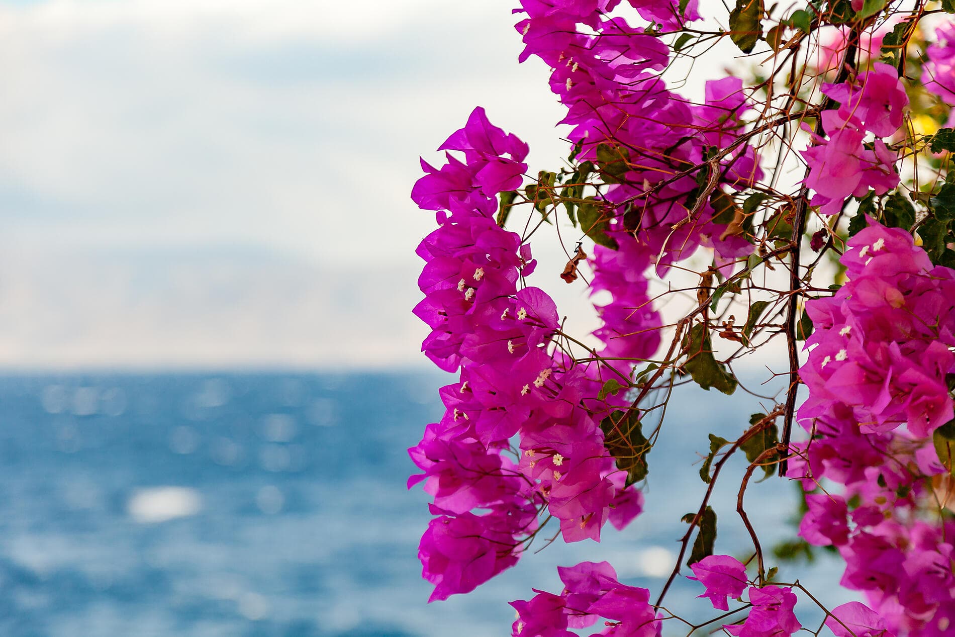 Ancient Wonders of the Mediterranean 