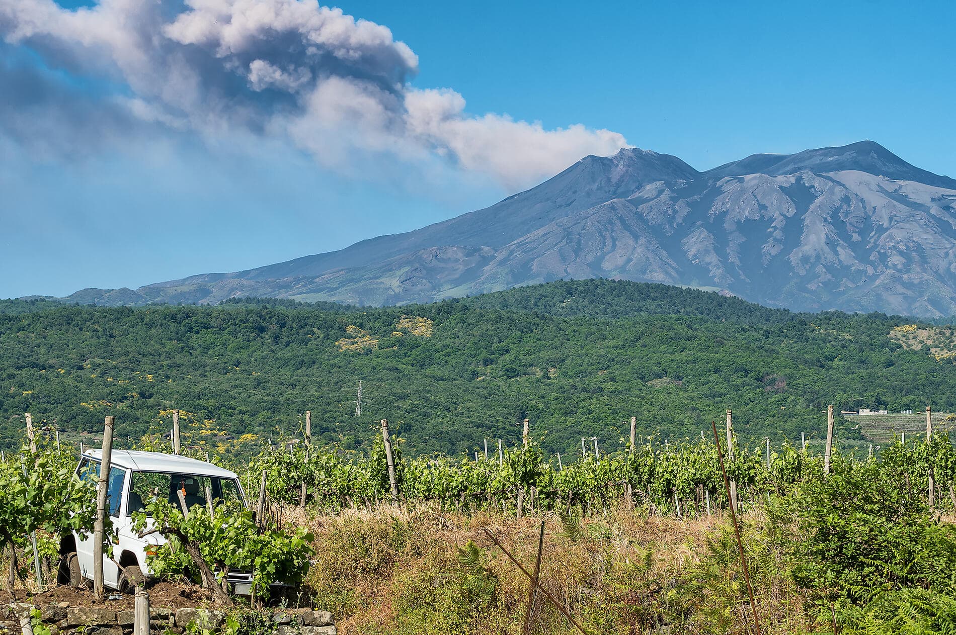 Epicurean Delights: The Food & Wine of Sicily 