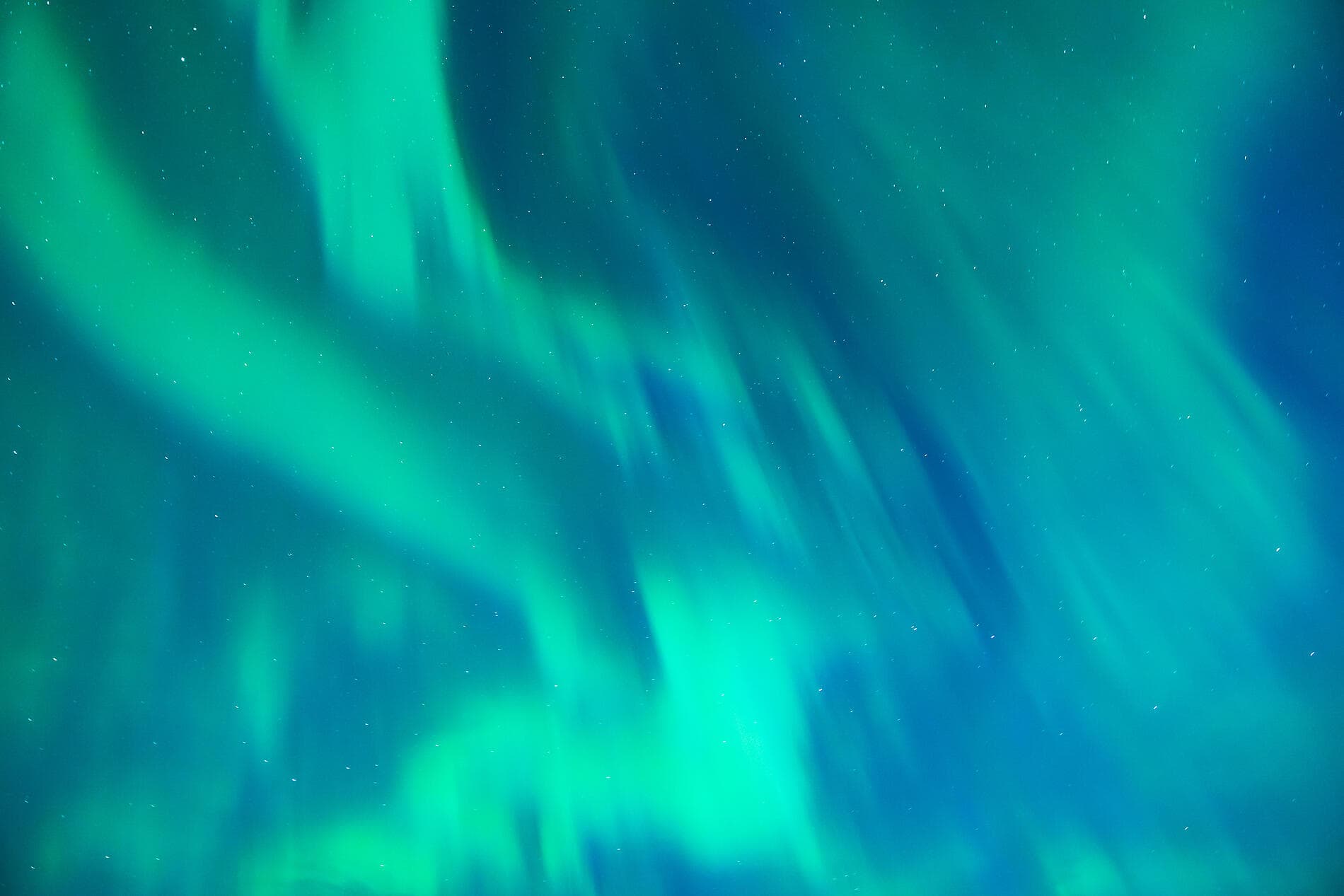 Nordic Discoveries & Traditions 