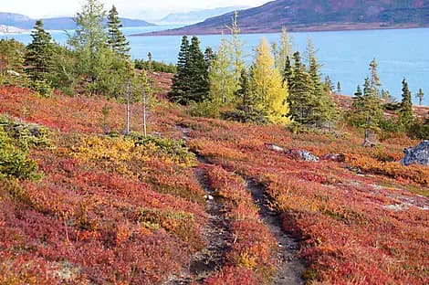 16 Sept 27 - Nain