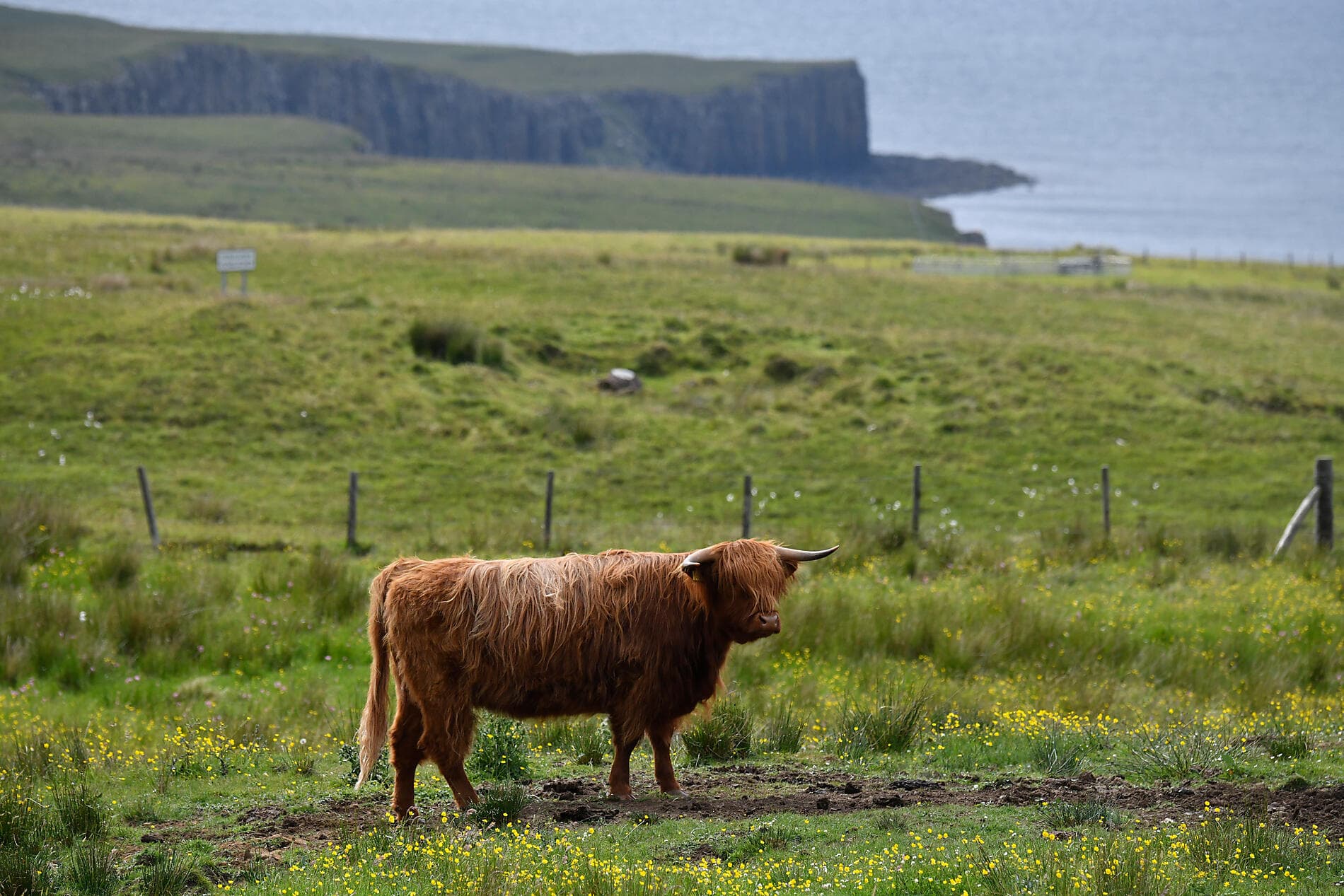 Scottish Isles & Norwegian Fjords 