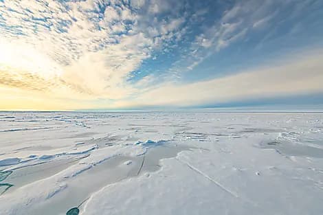 3 Aug 26 - Geographic North Pole