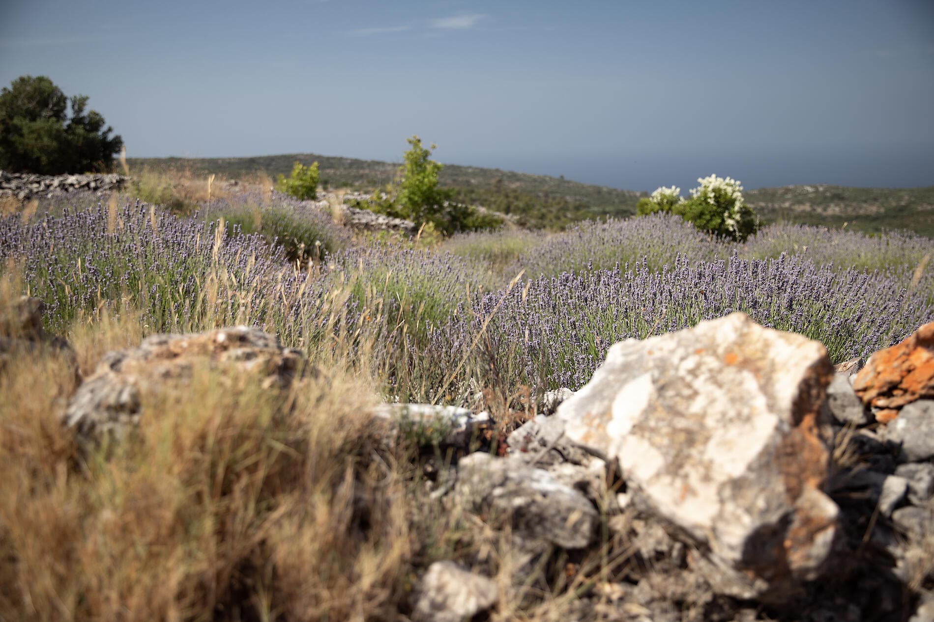 Natural wonders and cultural jewels of Dalmatia 