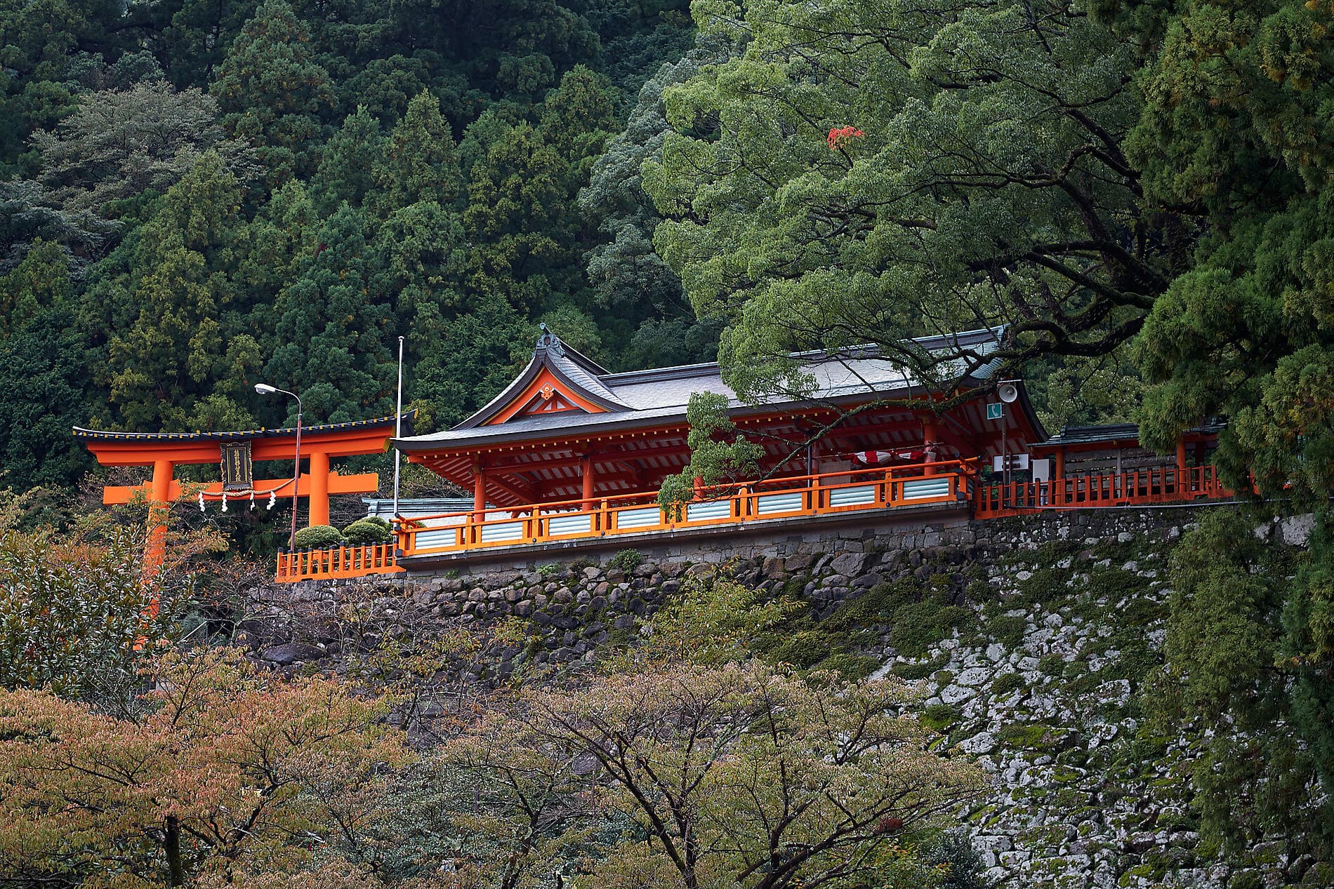 Authentic Japan 