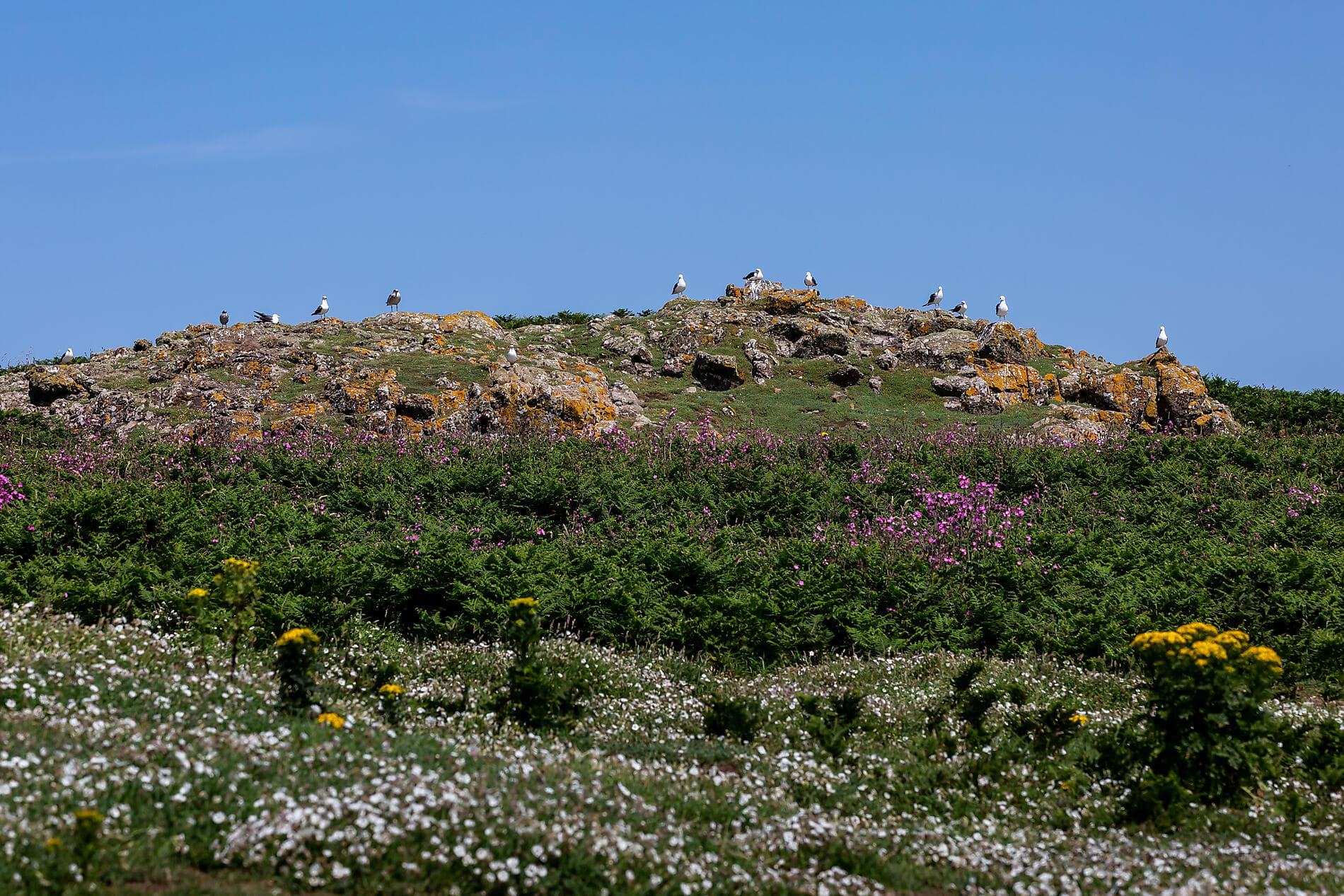 Natural and cultural discoveries in Celtic lands 