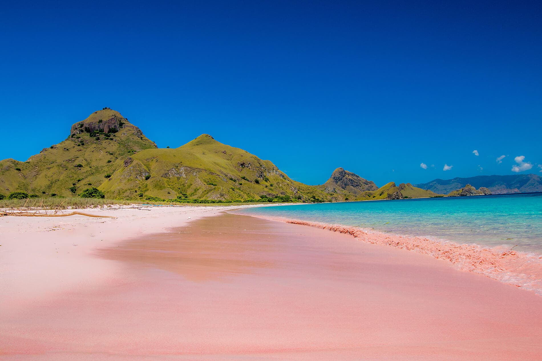 Tropical Indonesian Odyssey 