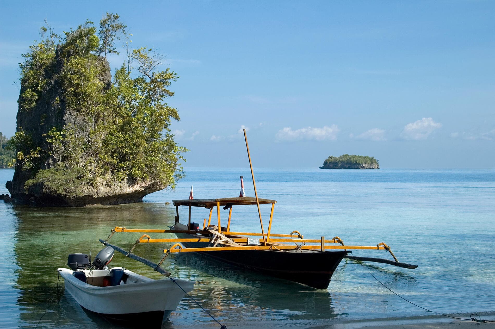 Tropical Indonesian Odyssey 