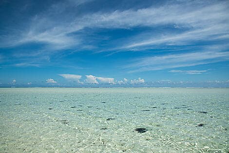 4 Feb 26 - Saint François Atoll