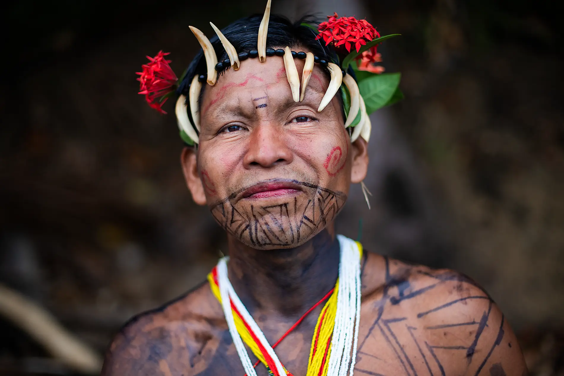 Central America Jewels & Panama Canal  