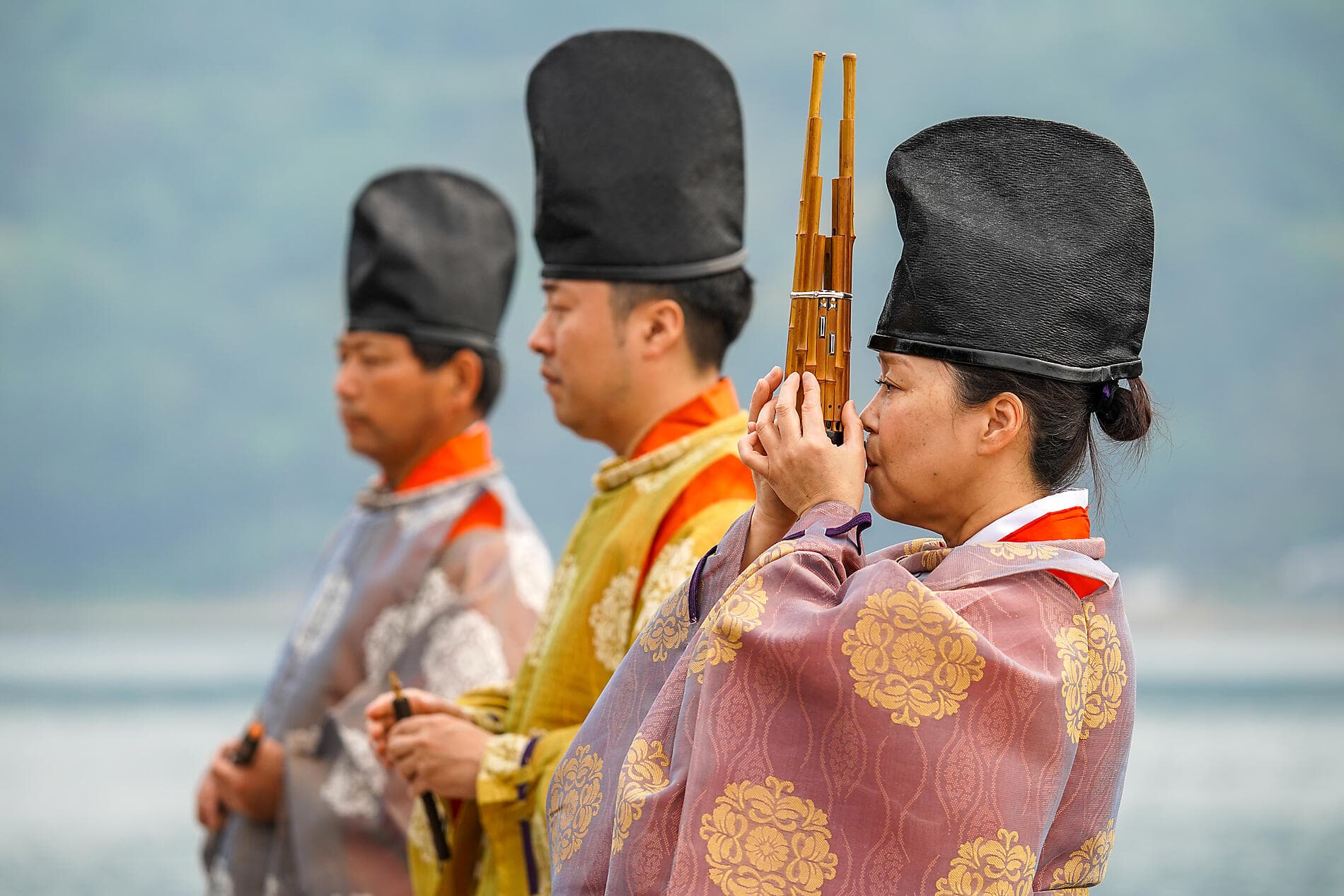Odyssey in the heart of Japan’s subtropical islands 