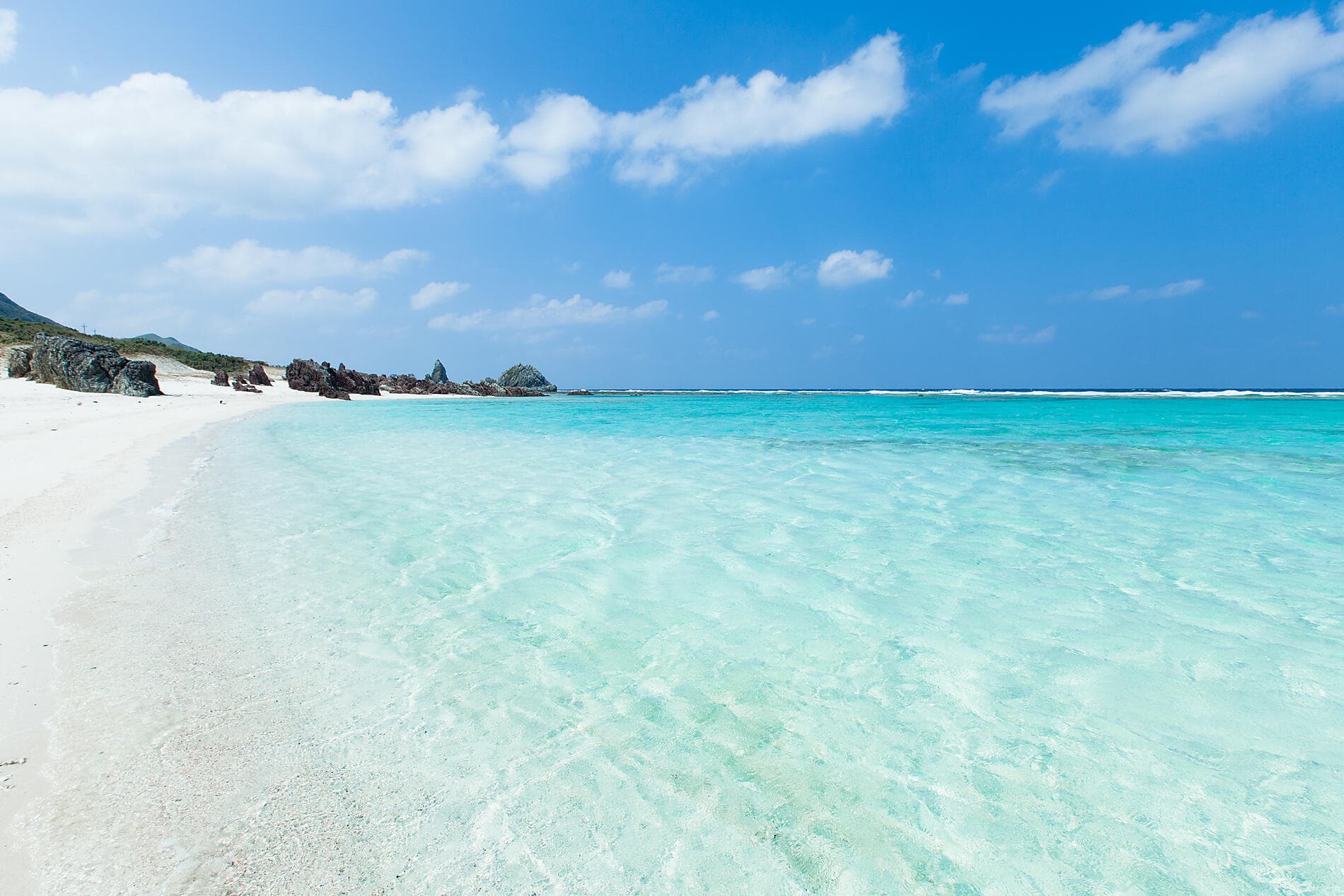 Odyssey in the heart of Japan’s subtropical islands 