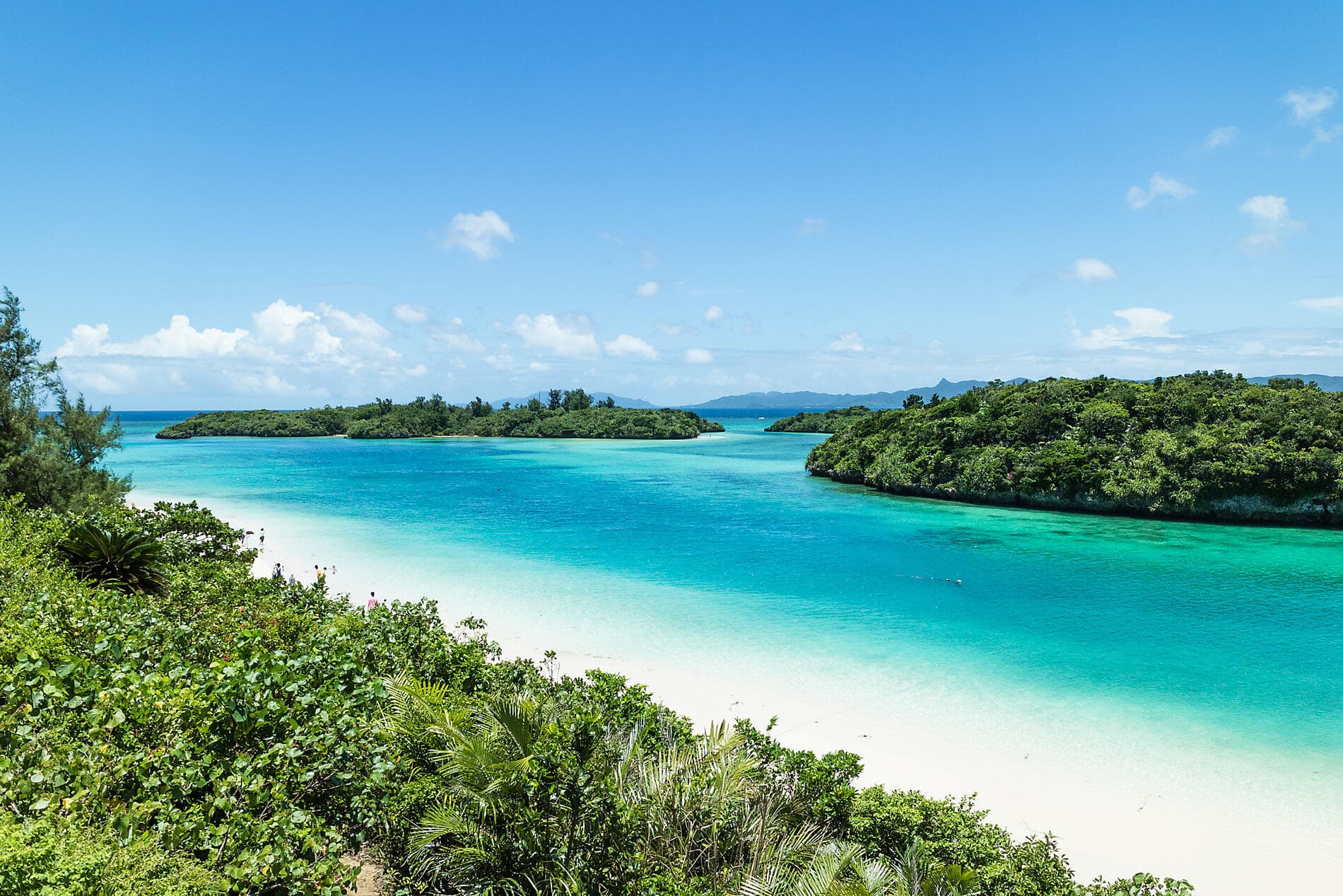 Odyssey in the heart of Japan’s subtropical islands 