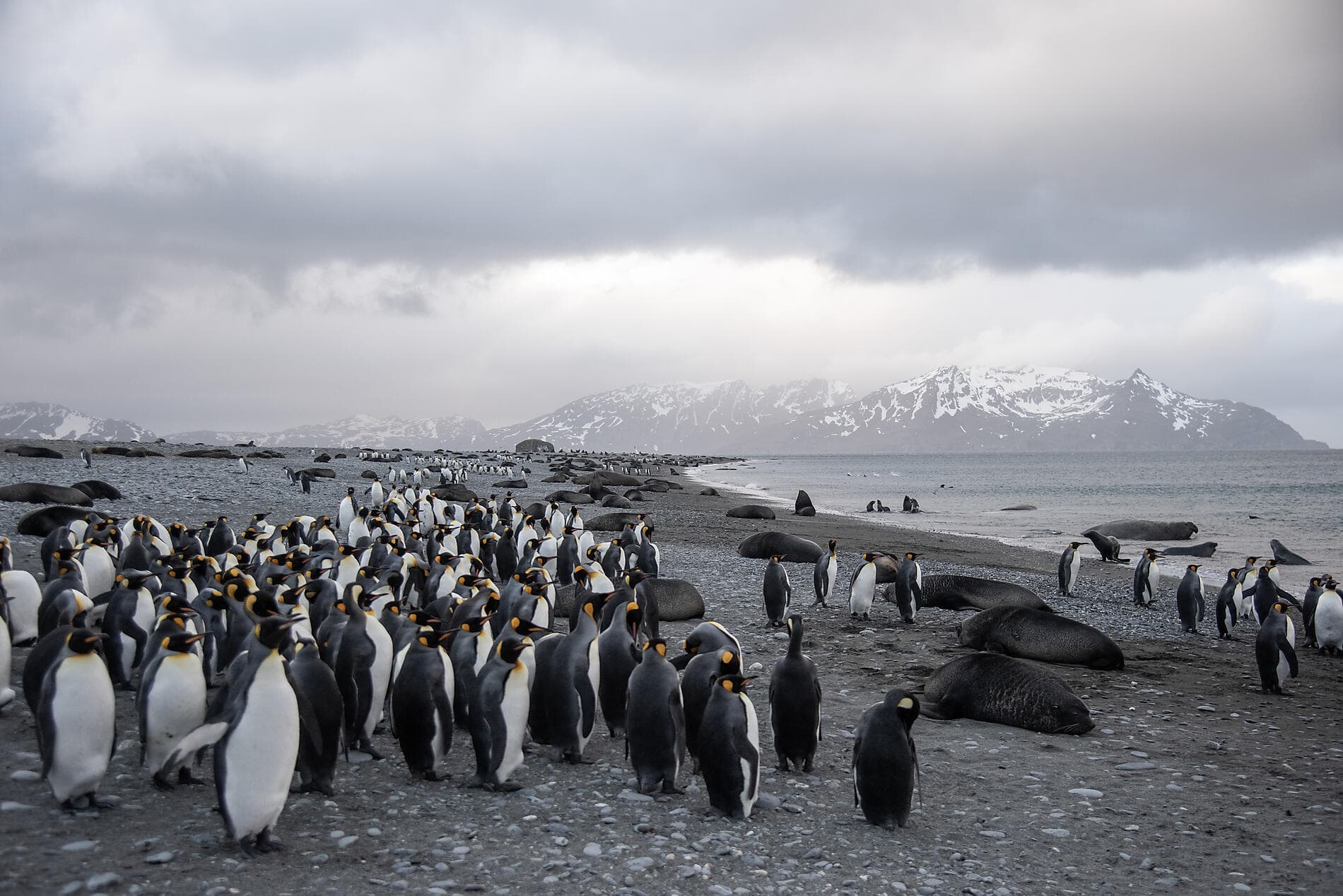Journey to Austral Lands and Valdes Peninsula 