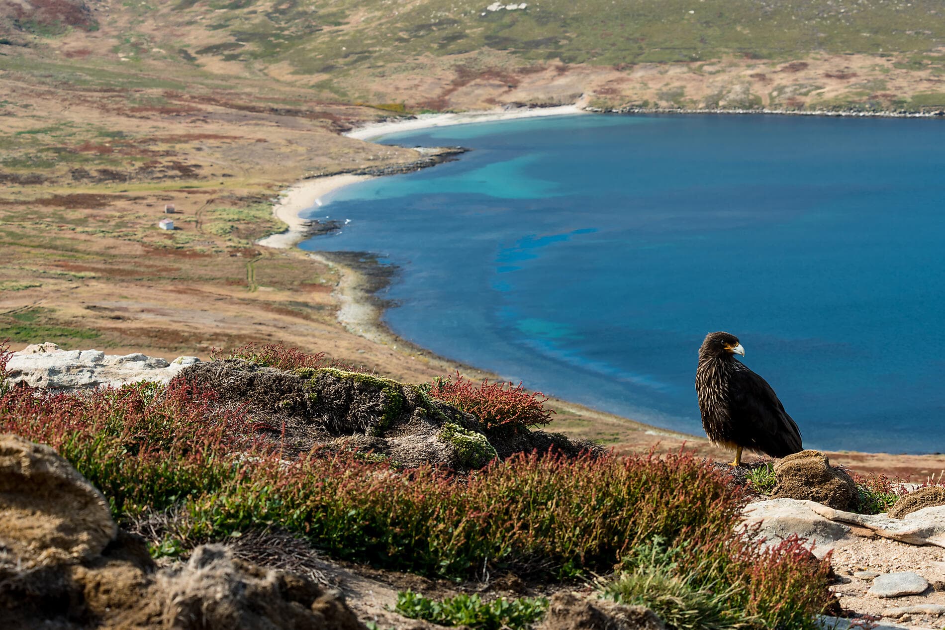 Journey to Austral Lands and Valdes Peninsula 
