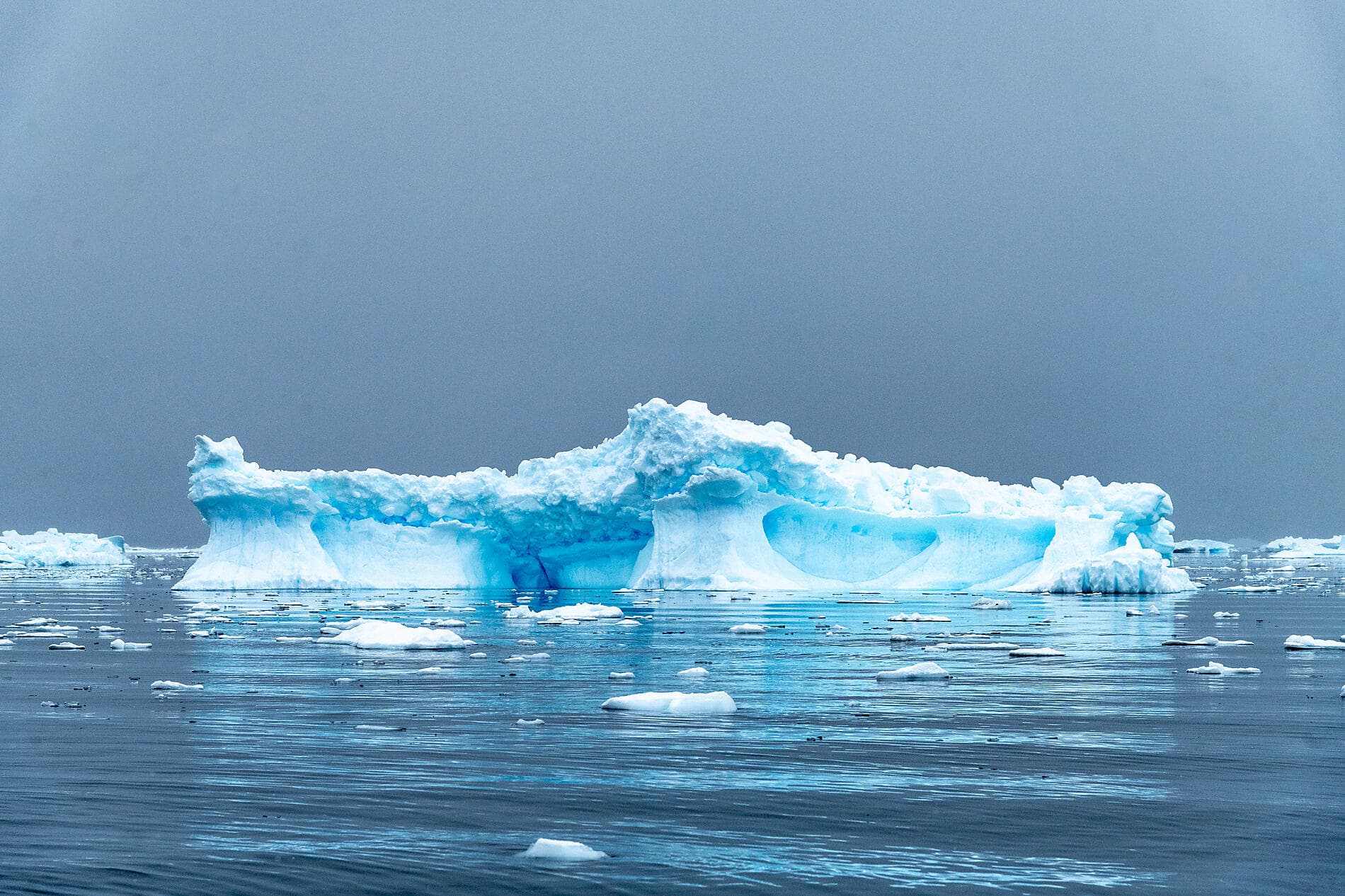 Emblematic Antarctica 