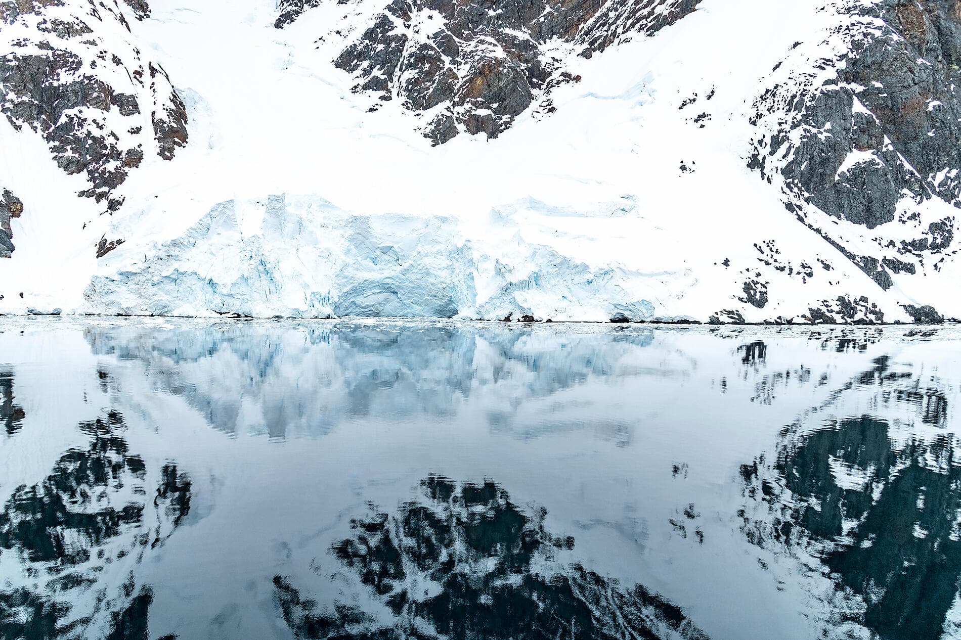 Emblematic Antarctica 