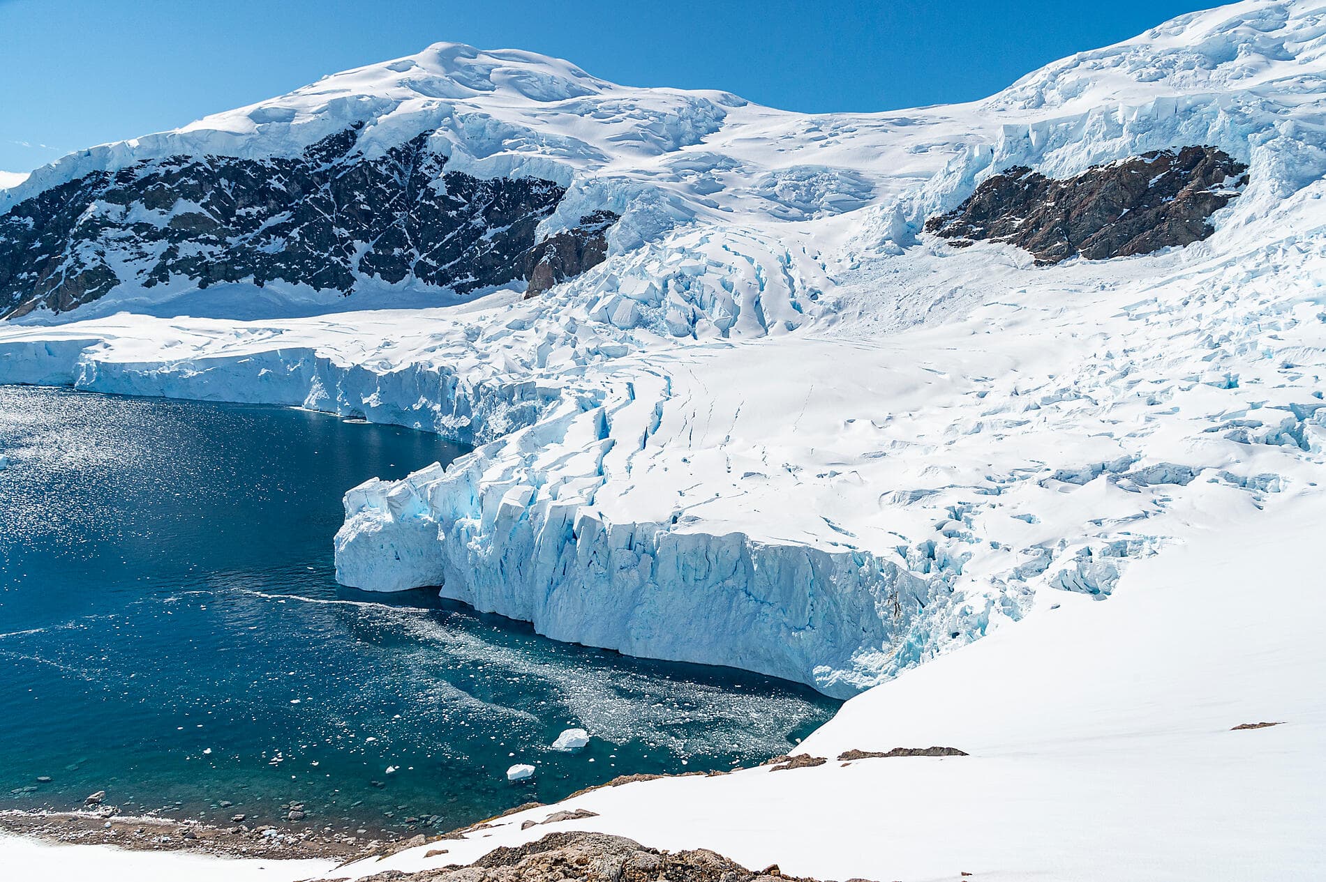 Emblematic Antarctica 