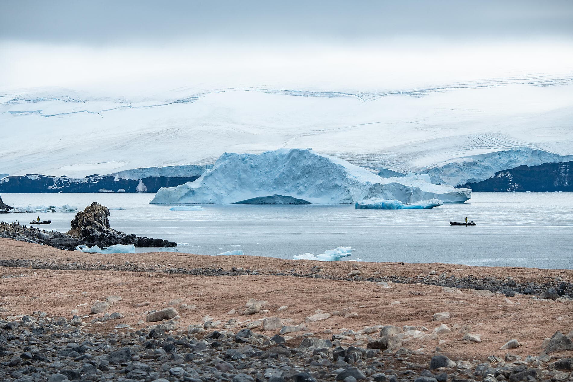Emblematic Antarctica 