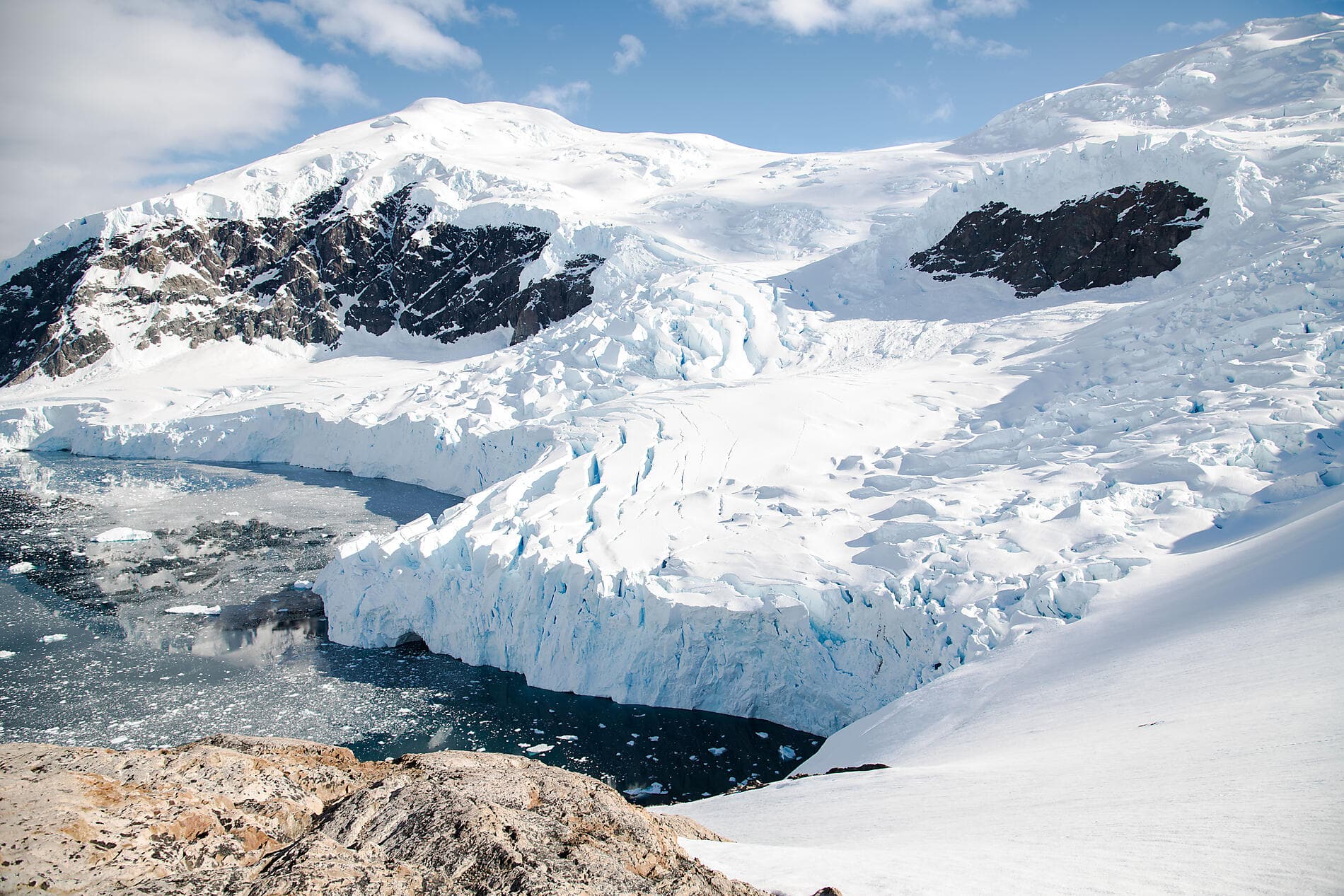 Emblematic Antarctica 