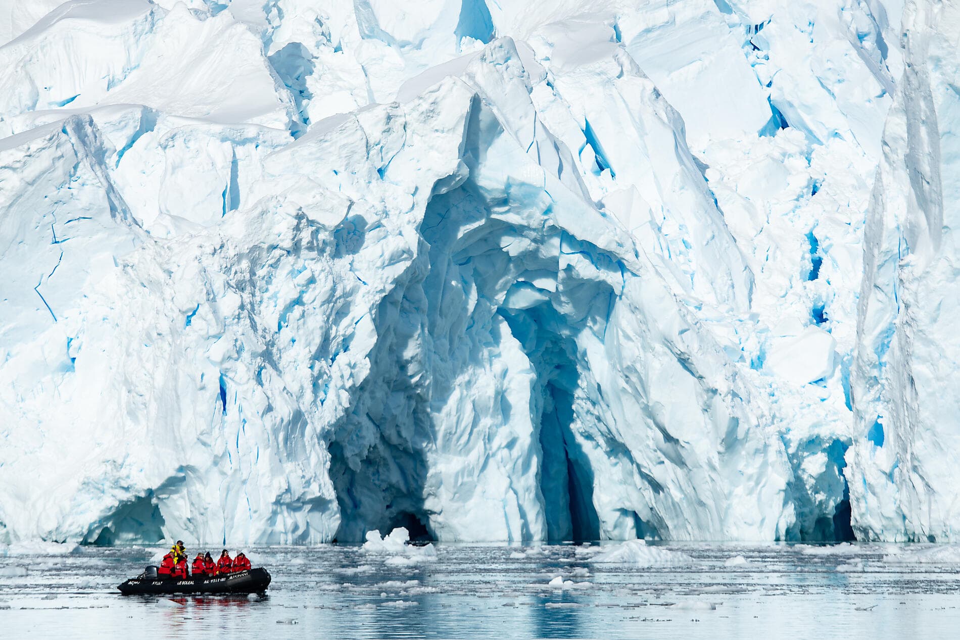 Emblematic Antarctica 