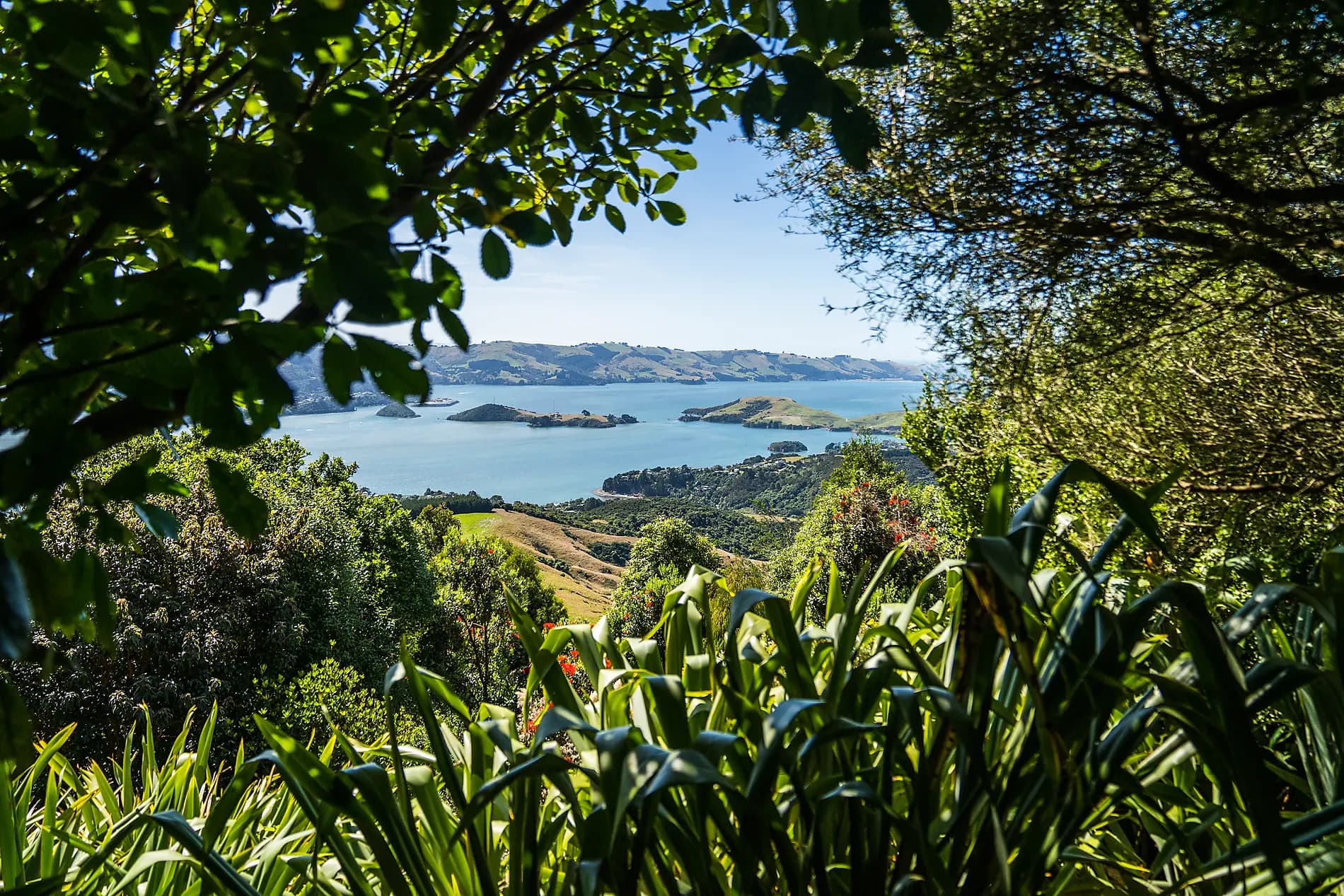 Expedition to New Zealand’s Subantarctic Islands  