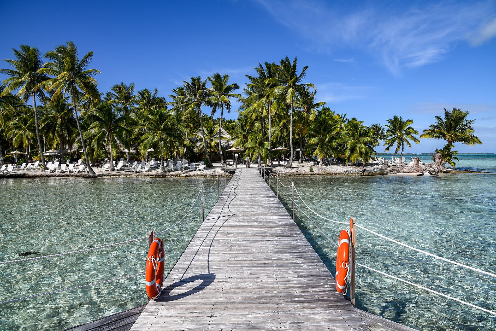 Pearls of the Society Islands 