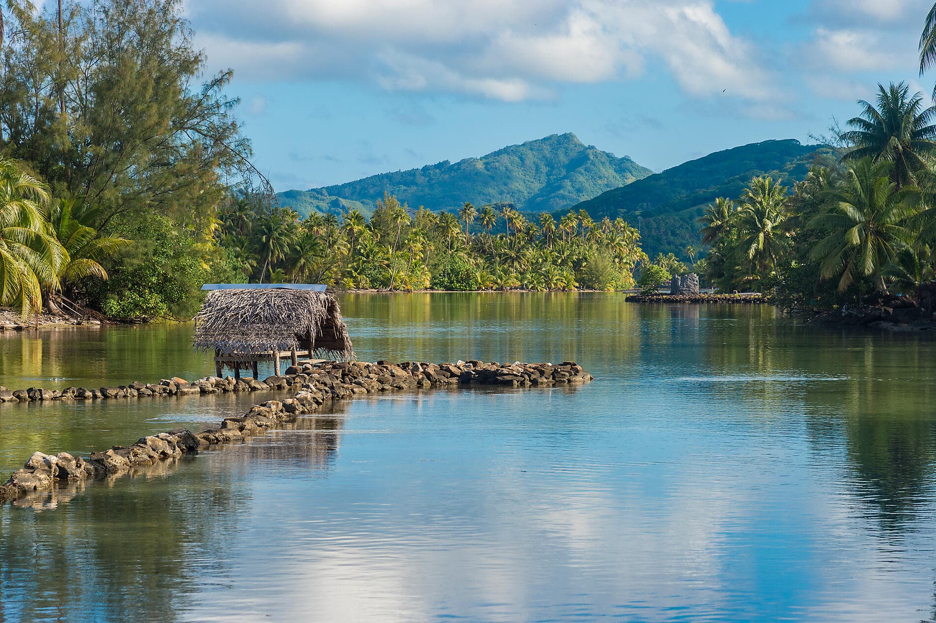 Pearls of the Society Islands 