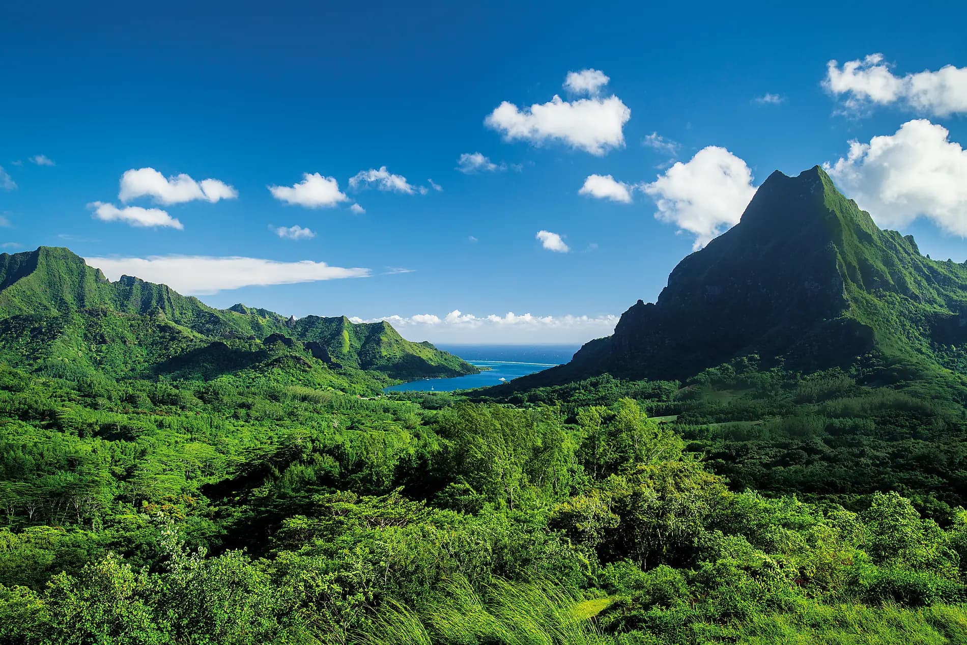 Pearls of the Society Islands 