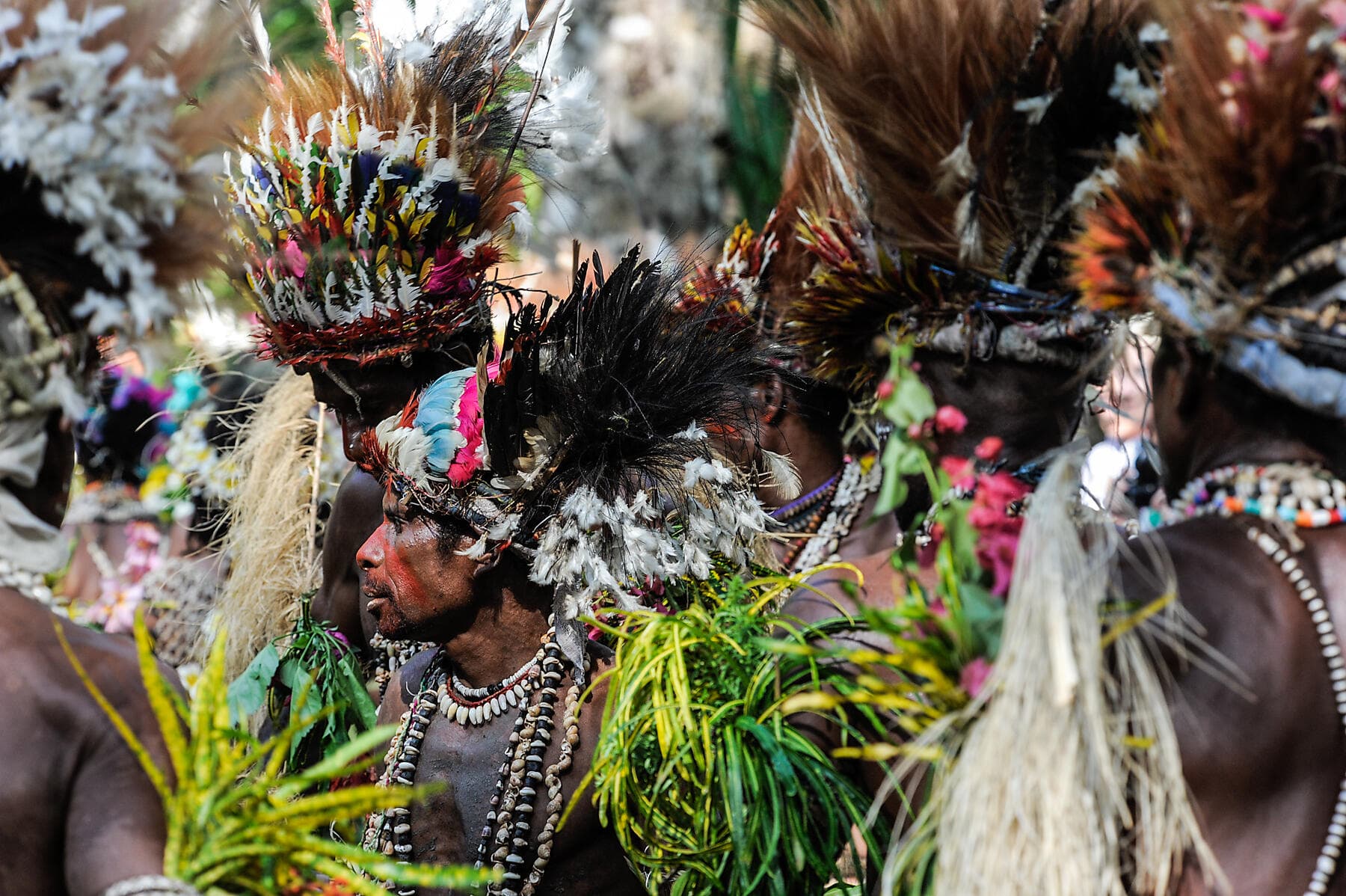 An escapade in the heart of Melanesia 