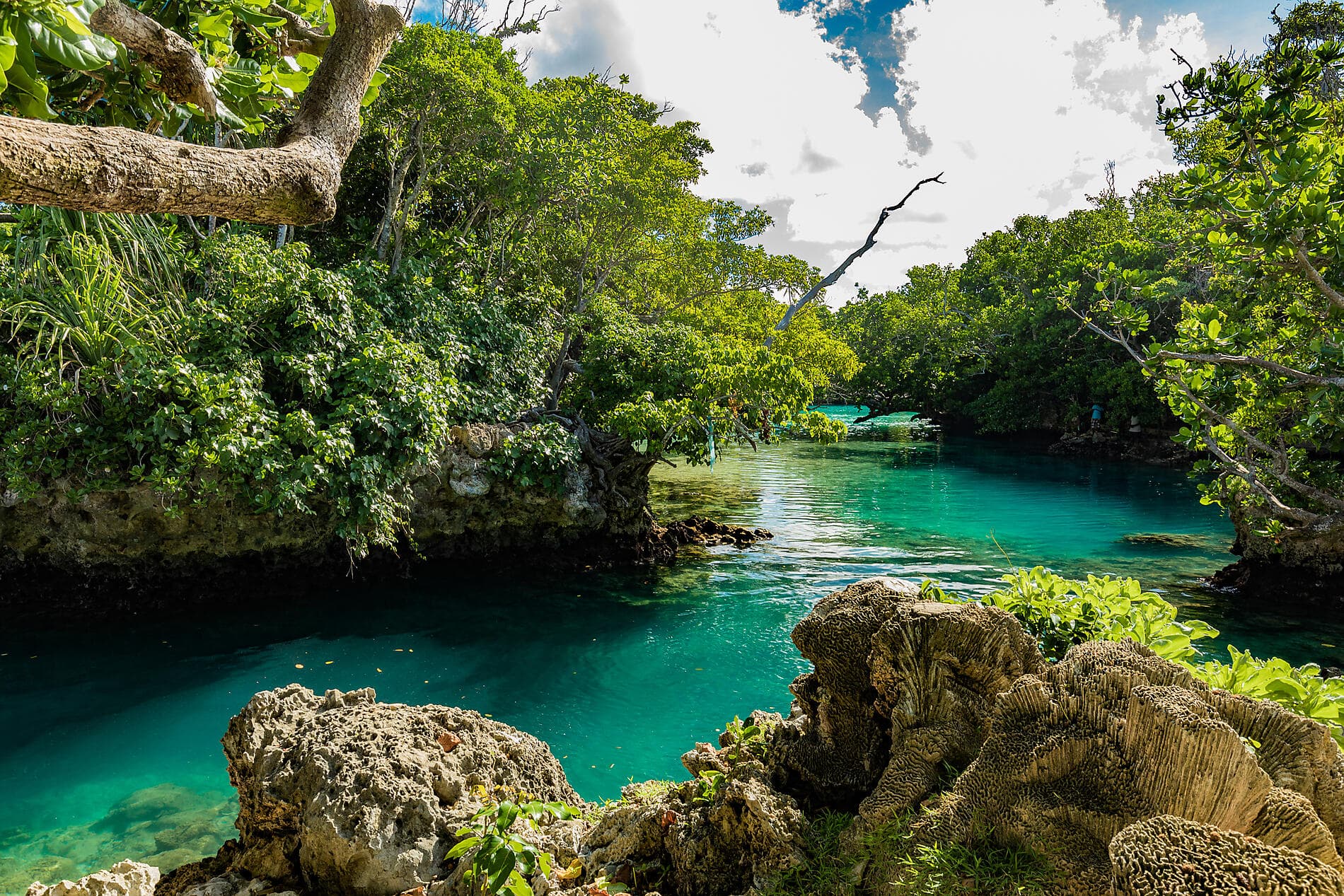 An escapade in the heart of Melanesia 