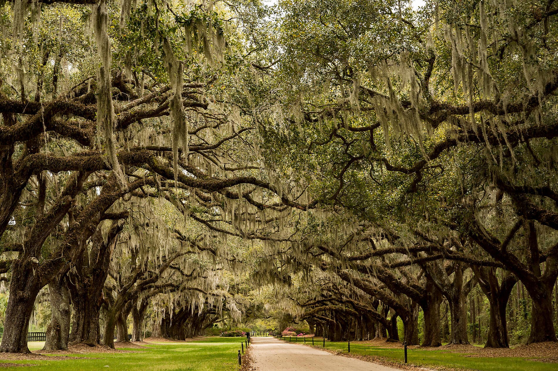 Celebrating American History & Culture Along the Atlantic Coast – with Smithsonian Journeys 