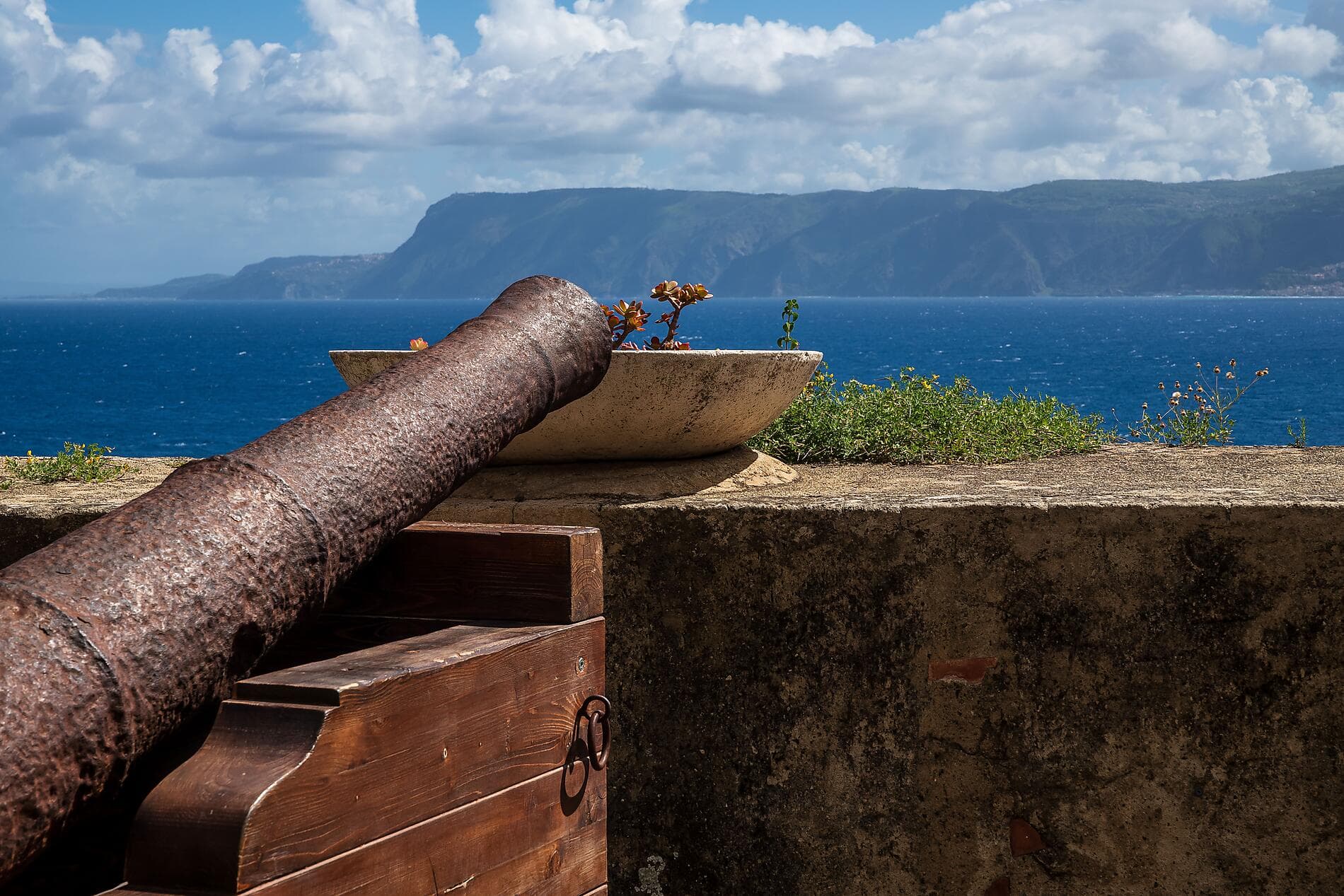 Epicurean Delights: The Food & Wine of Sicily 