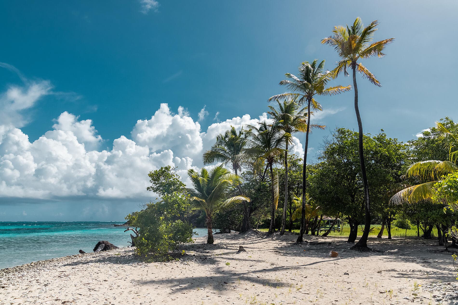 Gliding the Waters of the Windward Islands 
