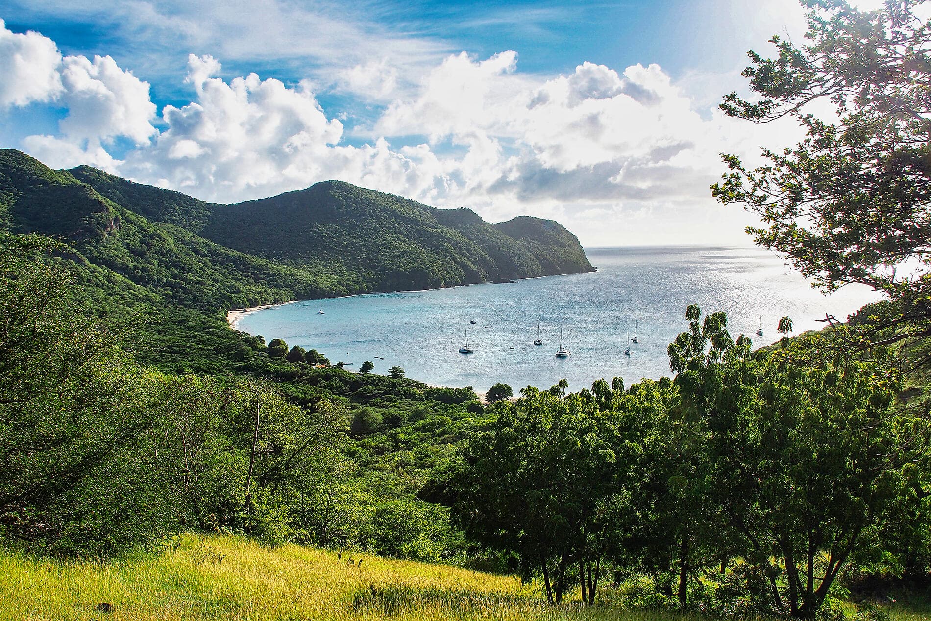 Pearls of the Caribbean 