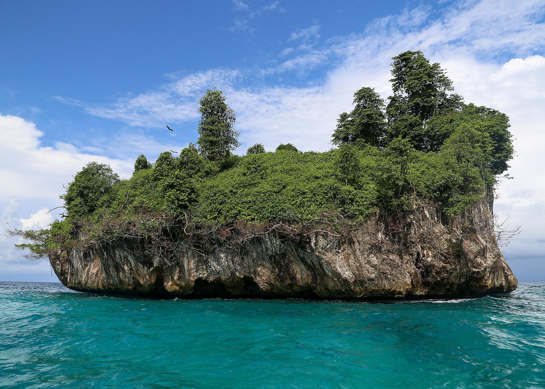 Raja Ampat and the Spice Islands 