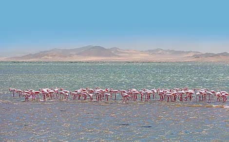 17 Dec 25 > 18 Dec 25 - Walvis Bay