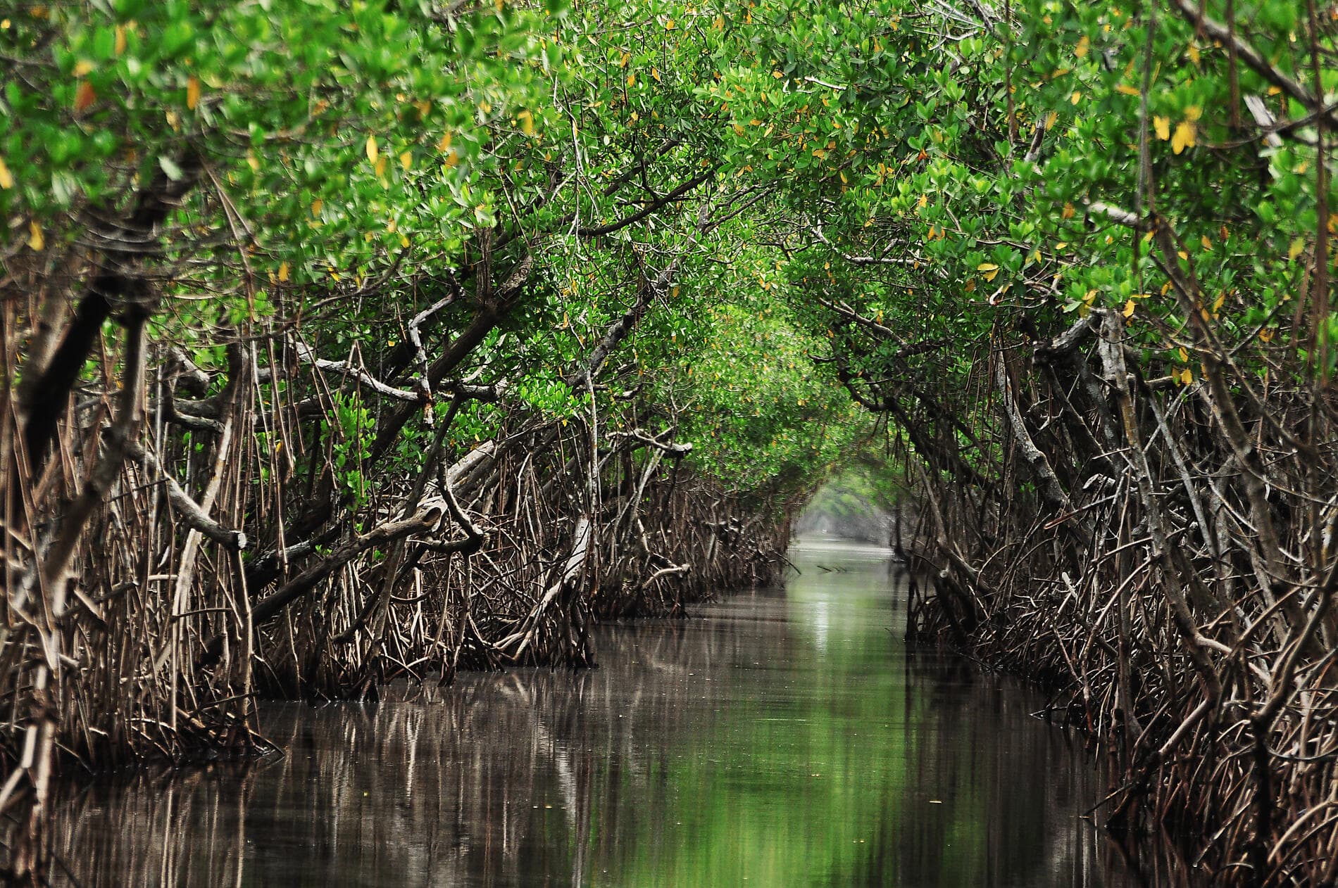 Adventure in the Bissagos Islands  