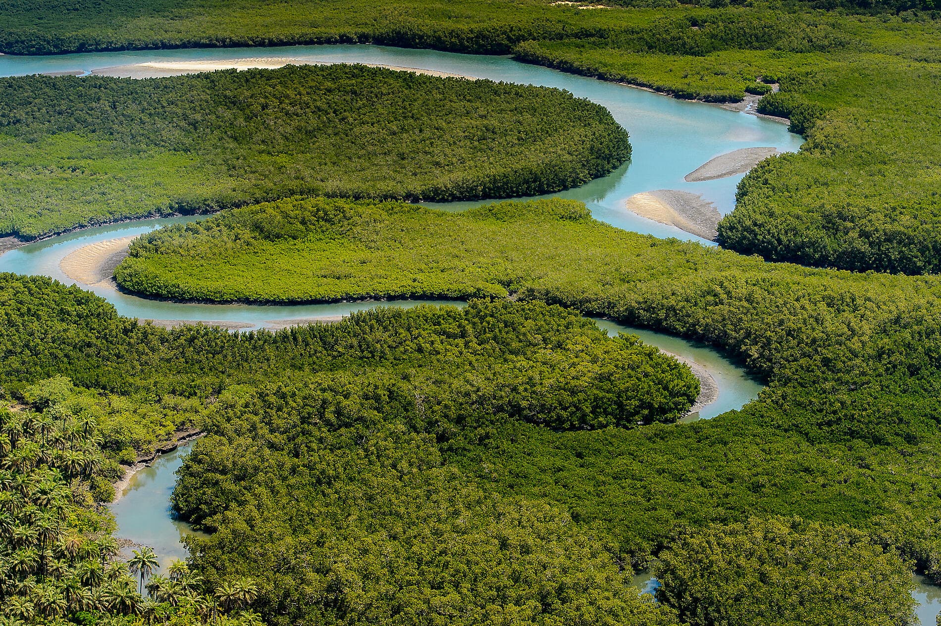 Adventure in the Bissagos Islands  