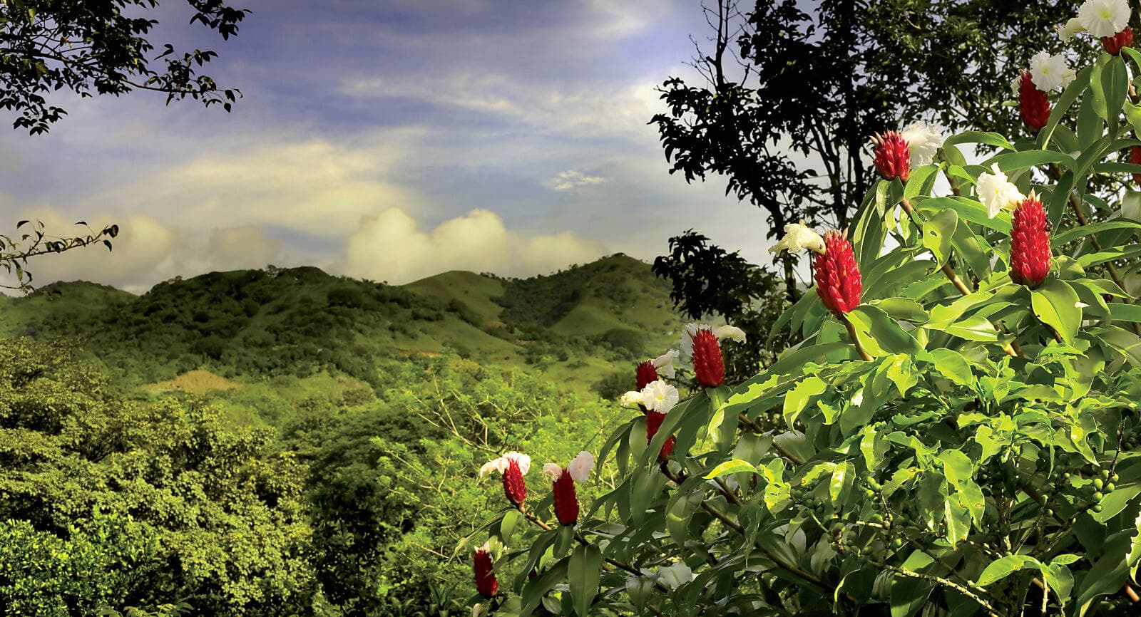 Central America Jewels & Panama Canal  