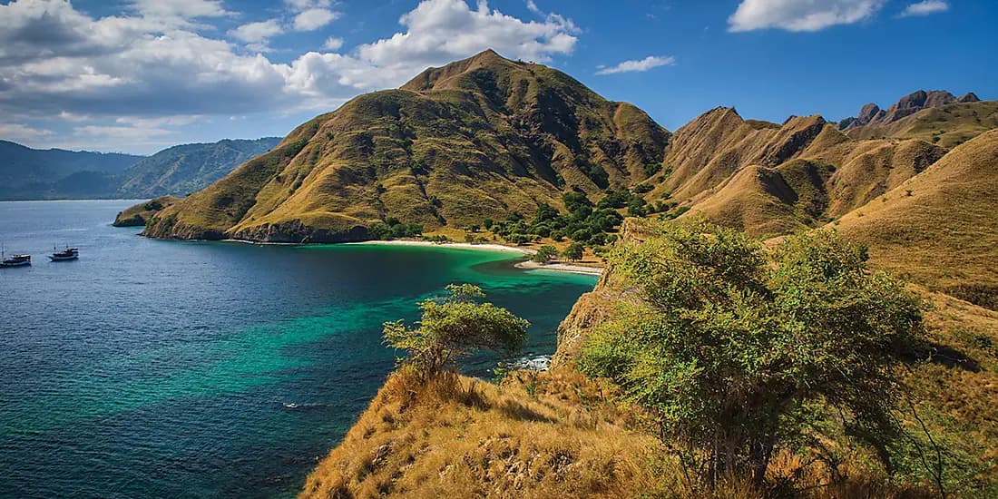 Tropical Odyssey between Indonesia and North East Australia