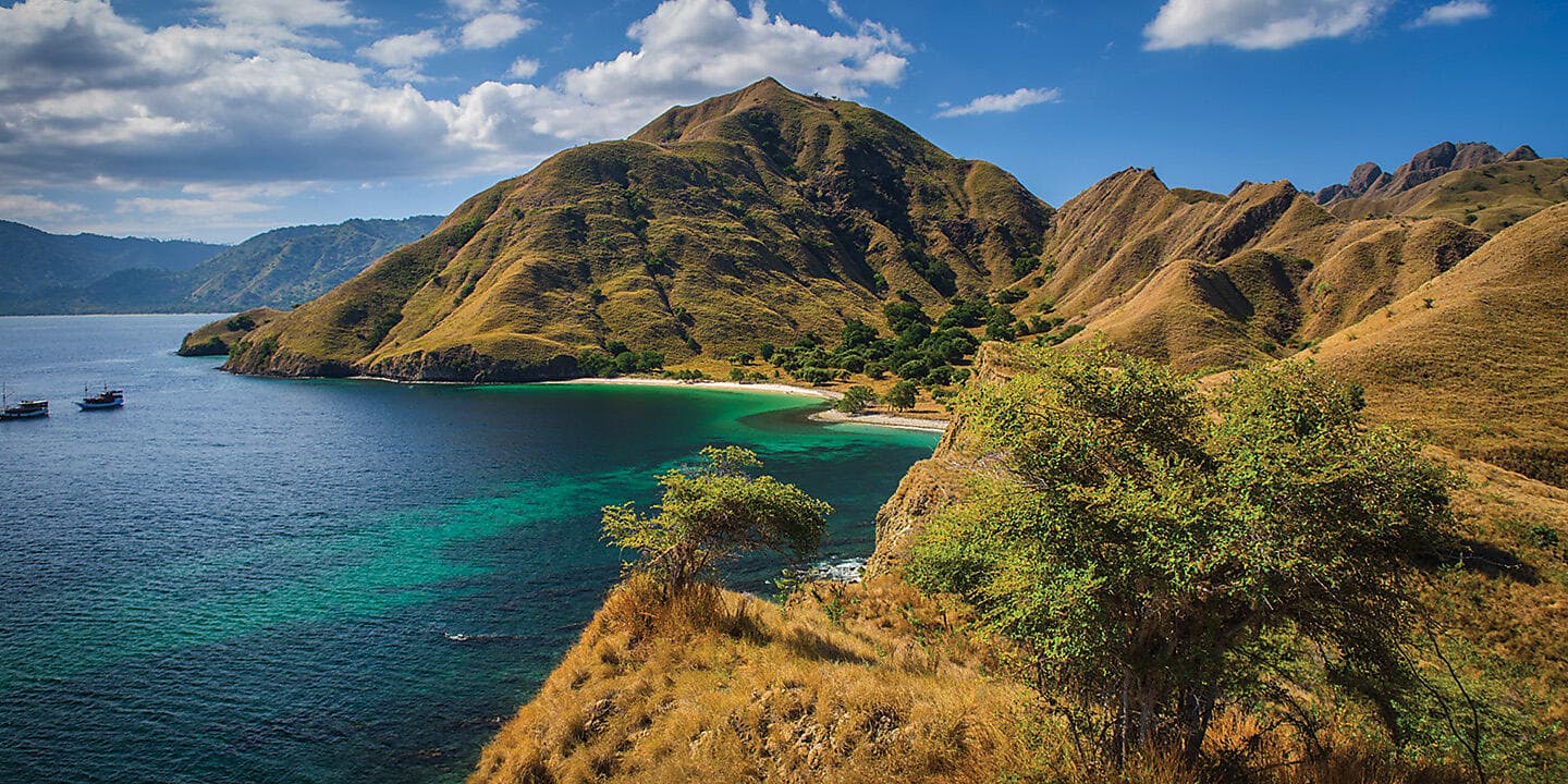 Tropical Odyssey between North East Australia and Indonesia