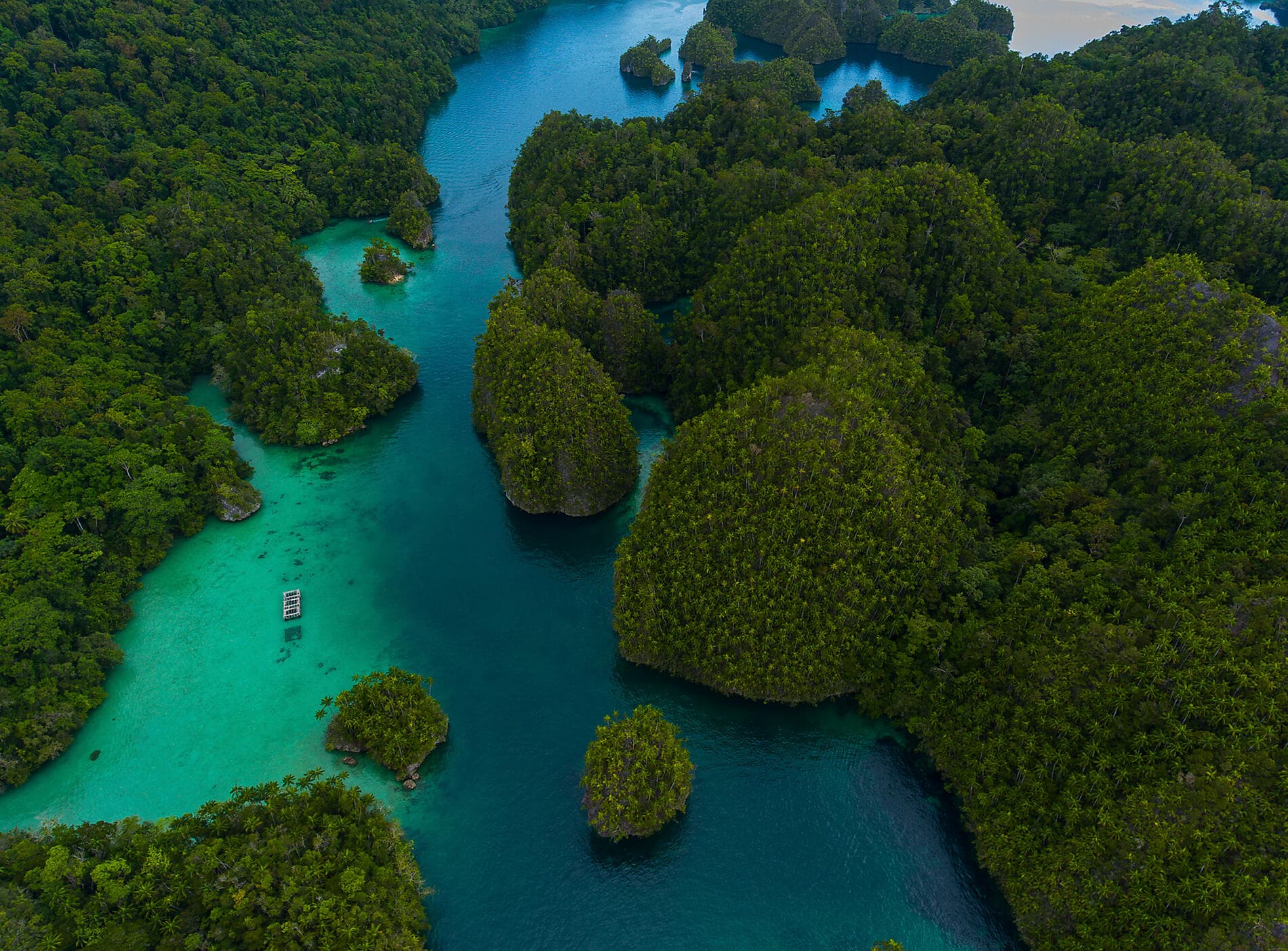 Tropical Odyssey between North East Australia and Indonesia 
