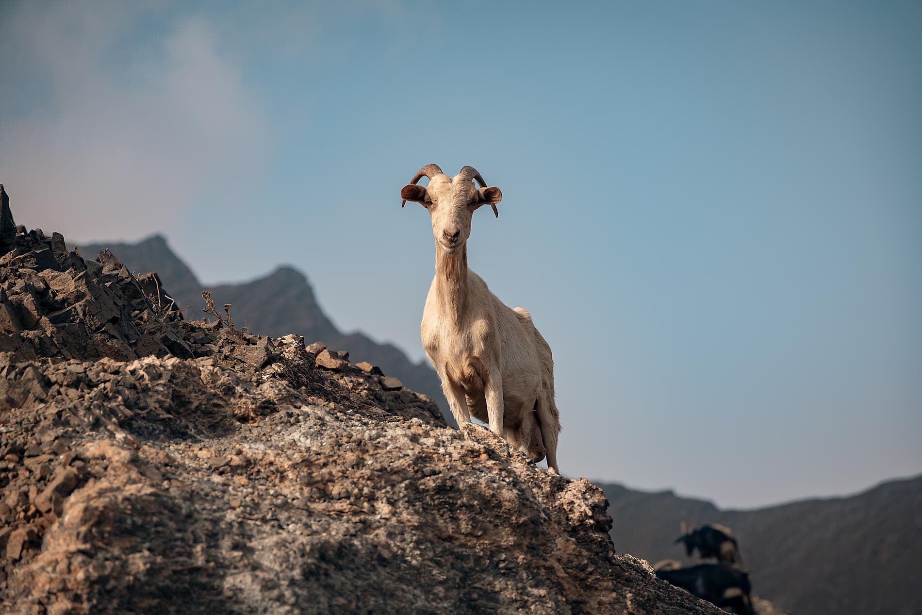 Volcanic landscapes from Canary Islands to Cape Verde 
