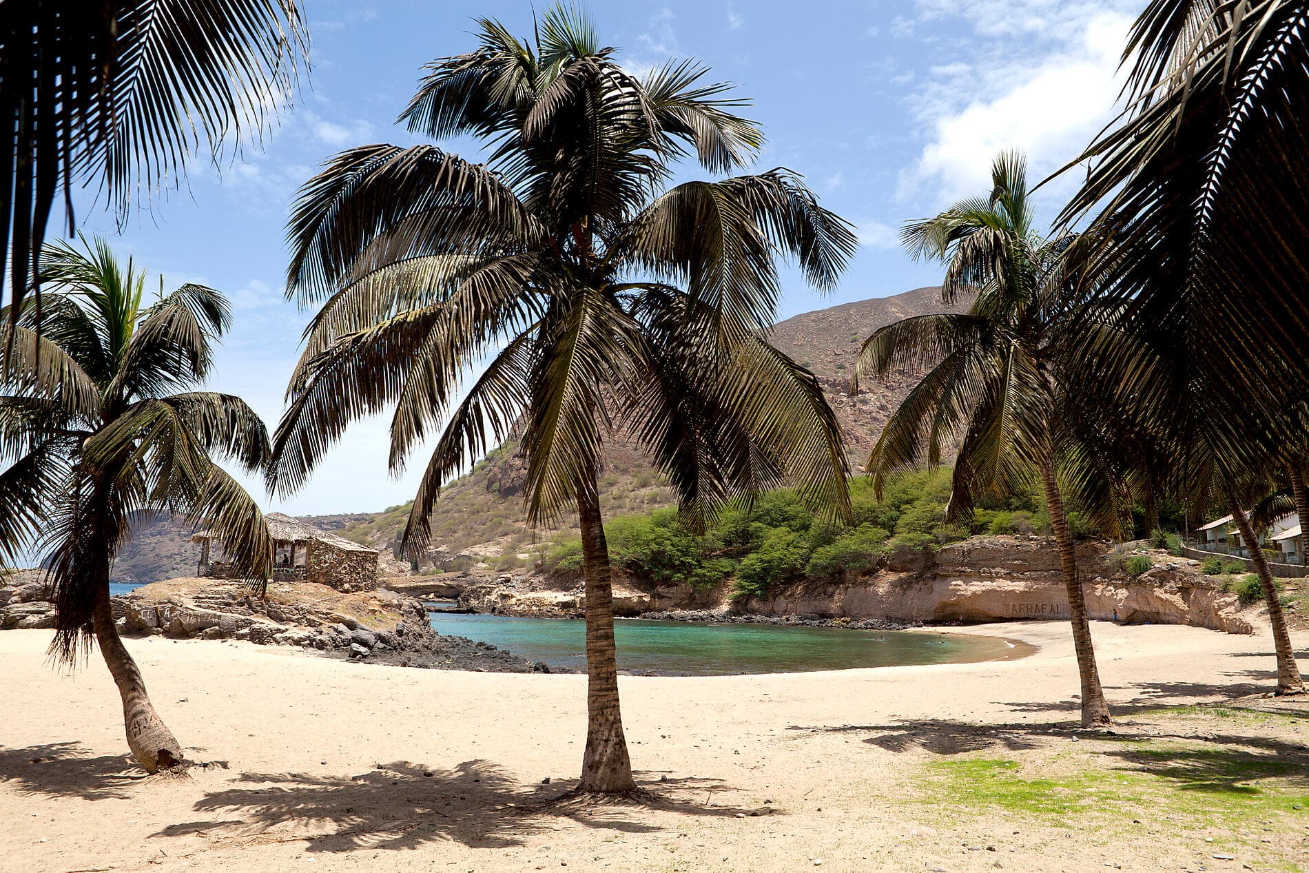 Volcanic landscapes from Canary Islands to Cape Verde 