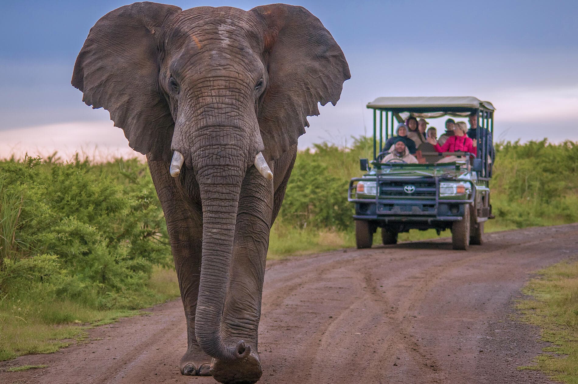 South Africa and Namibia by Sea: Around the Cape of Good Hope – with Smithsonian Journeys 