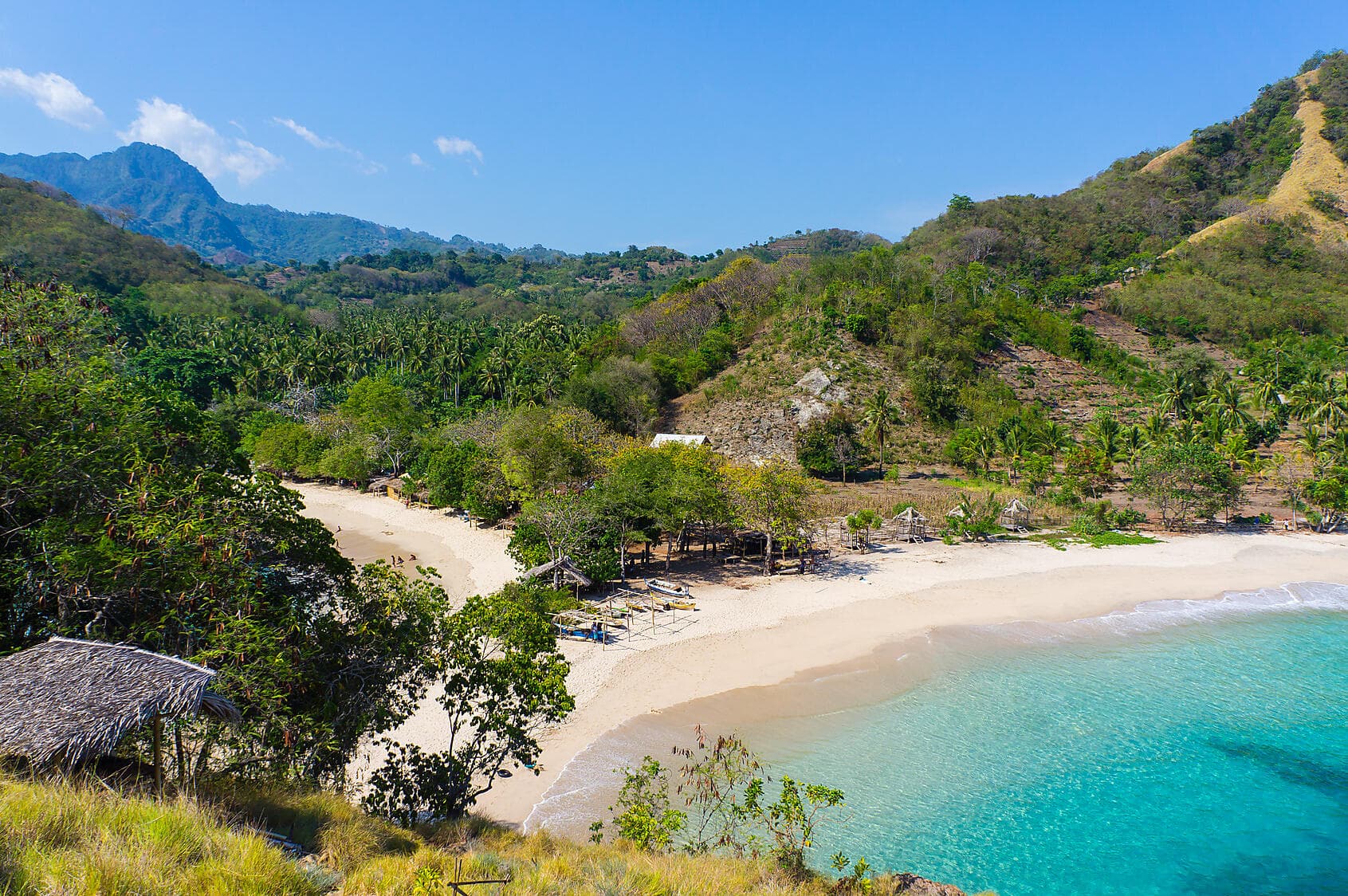 Tropical Indonesian Odyssey 