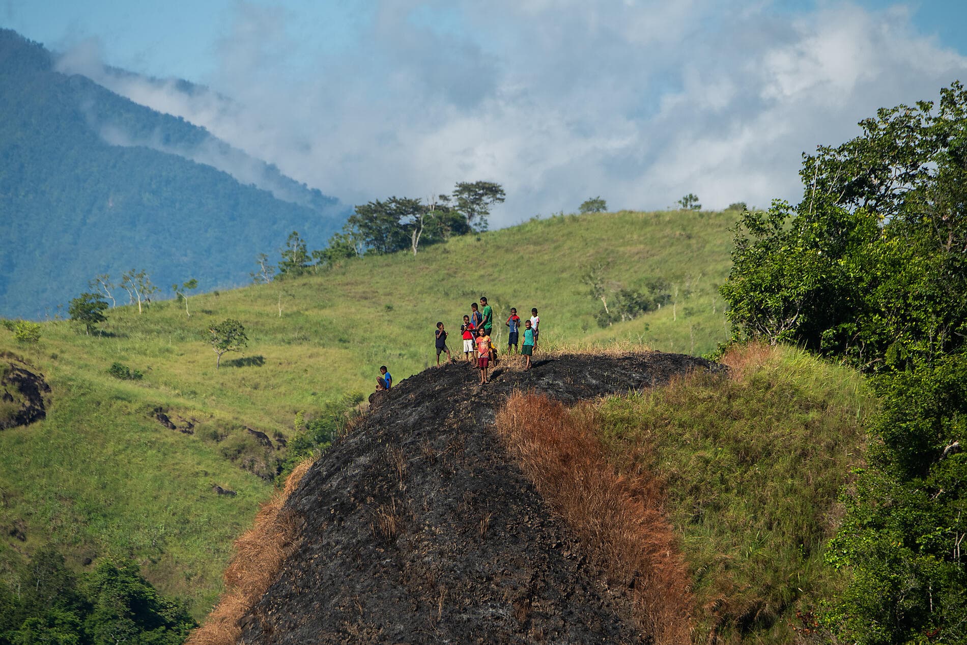 Islands and cultures of Papua New Guinea 