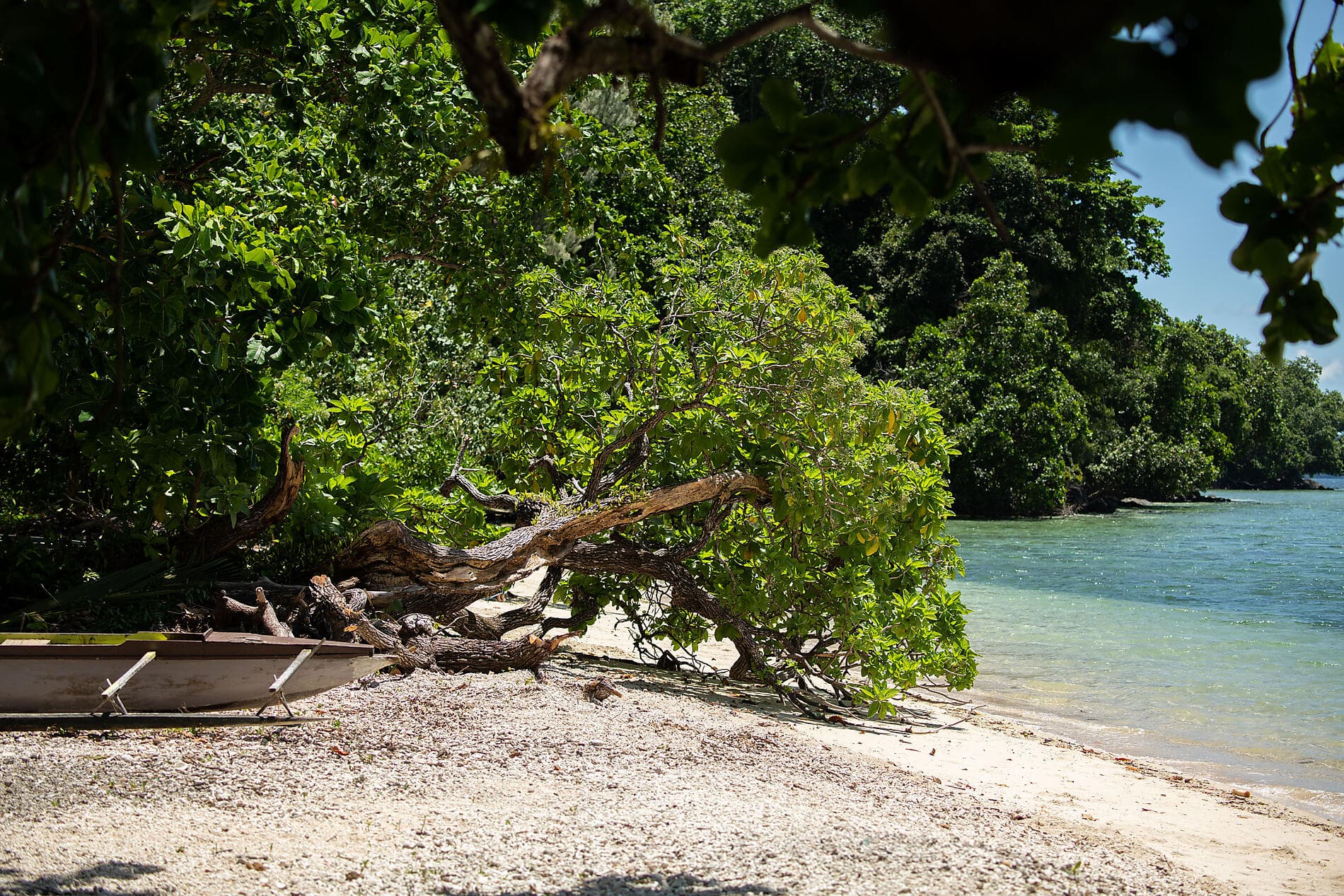Islands and cultures of Papua New Guinea 