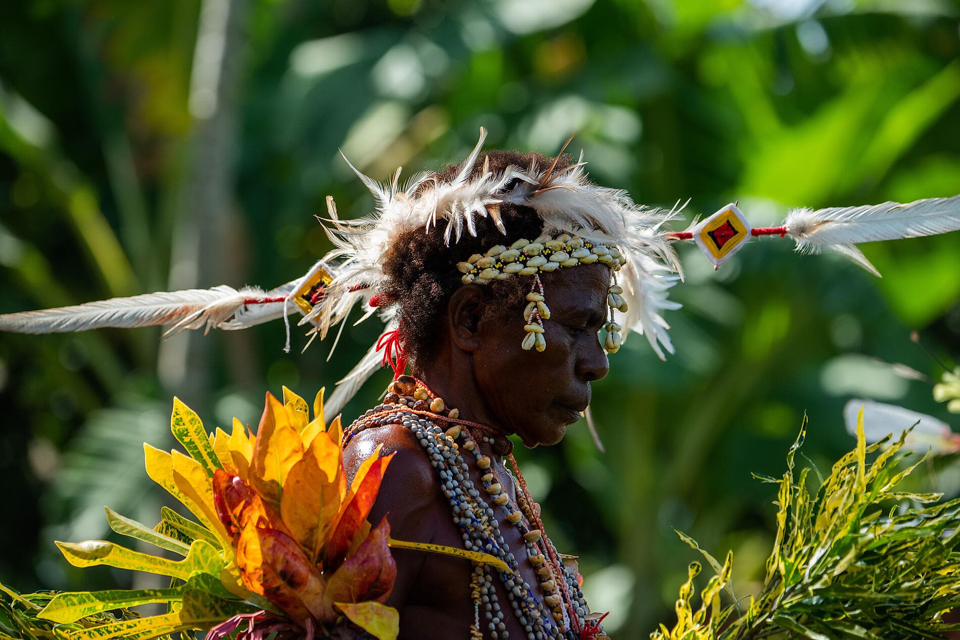 Islands and cultures of Papua New Guinea 